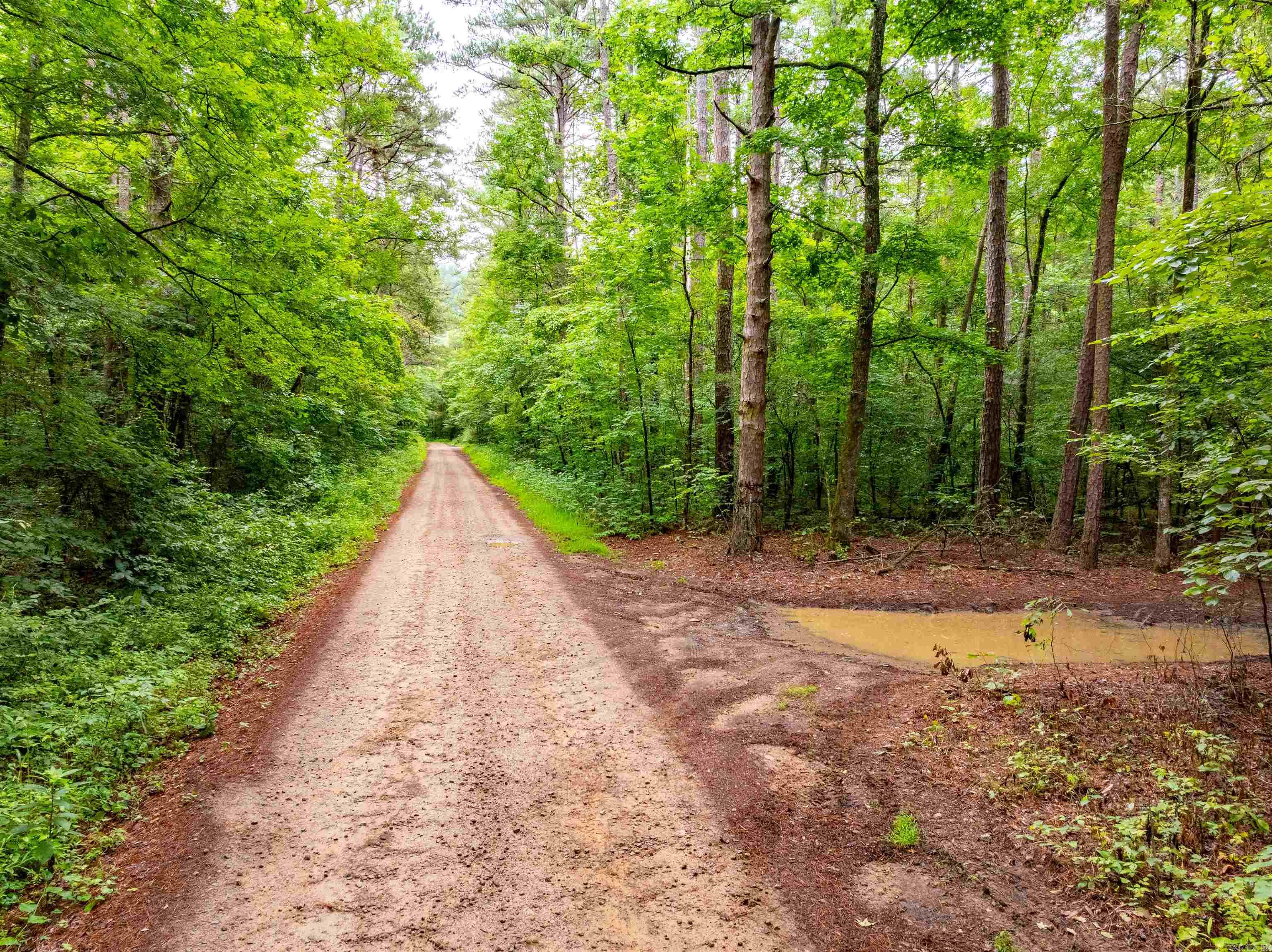0 Middle Fork  Hector, AR