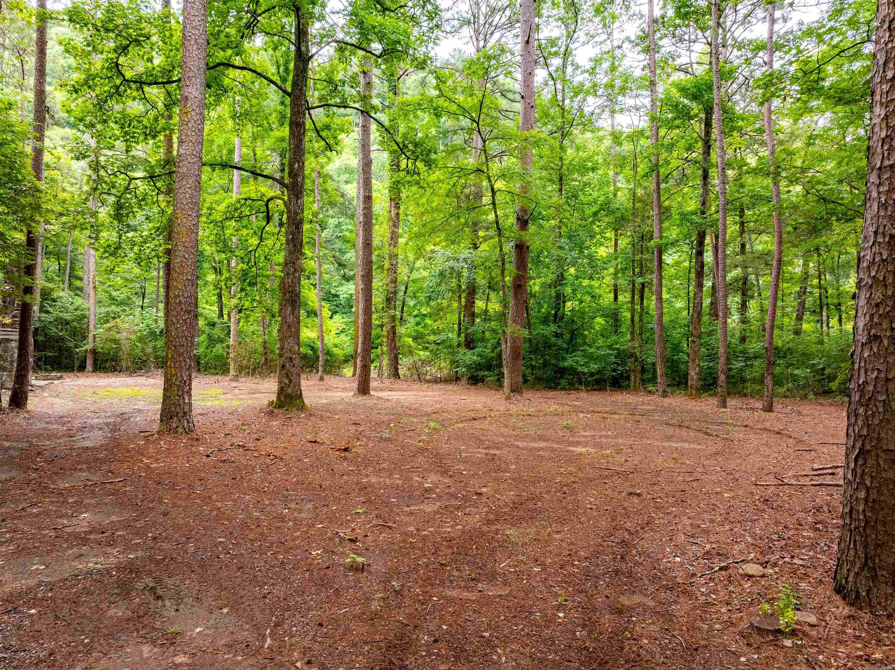0 Middle Fork  Hector, AR
