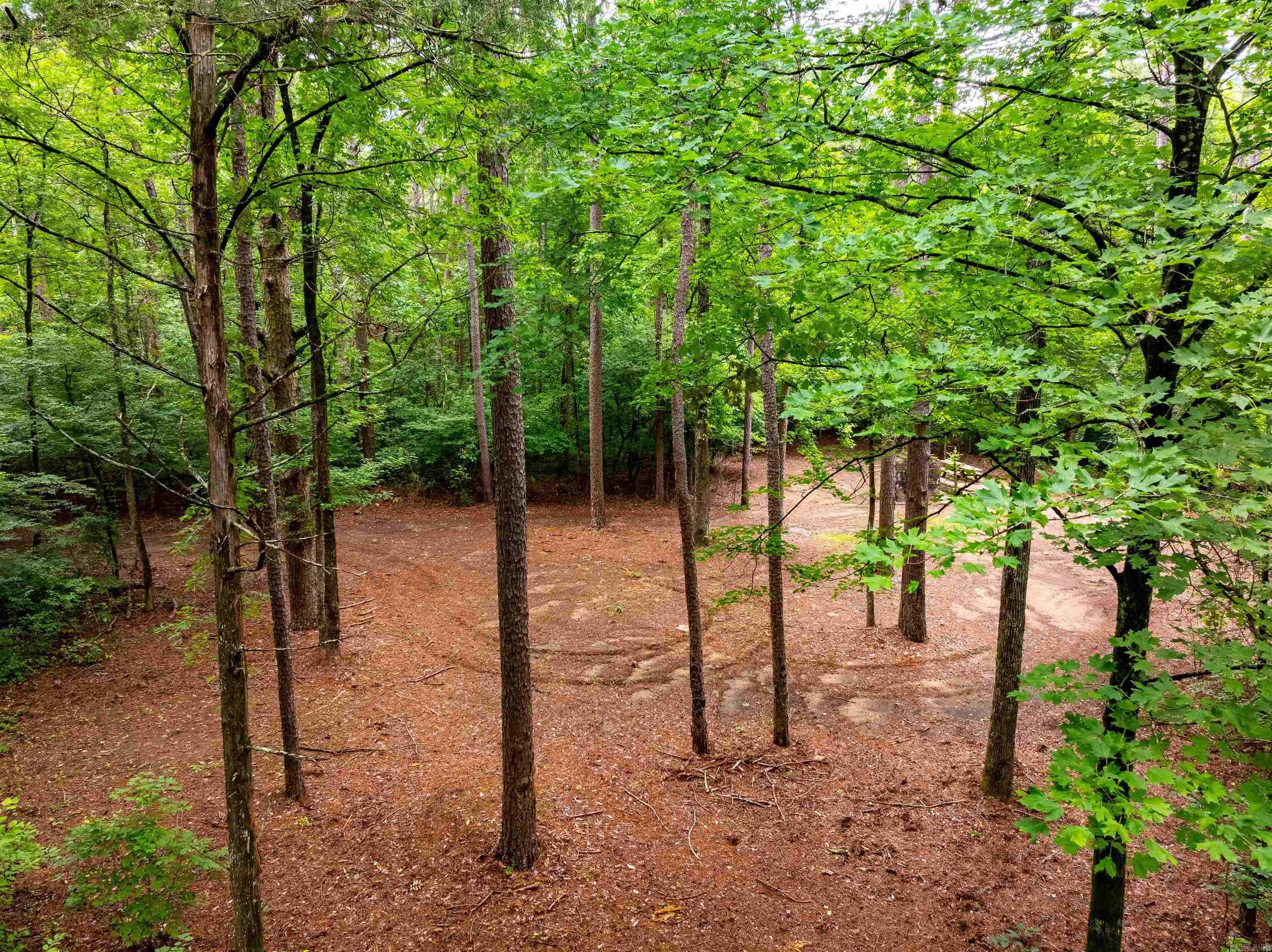 0 Middle Fork  Hector, AR