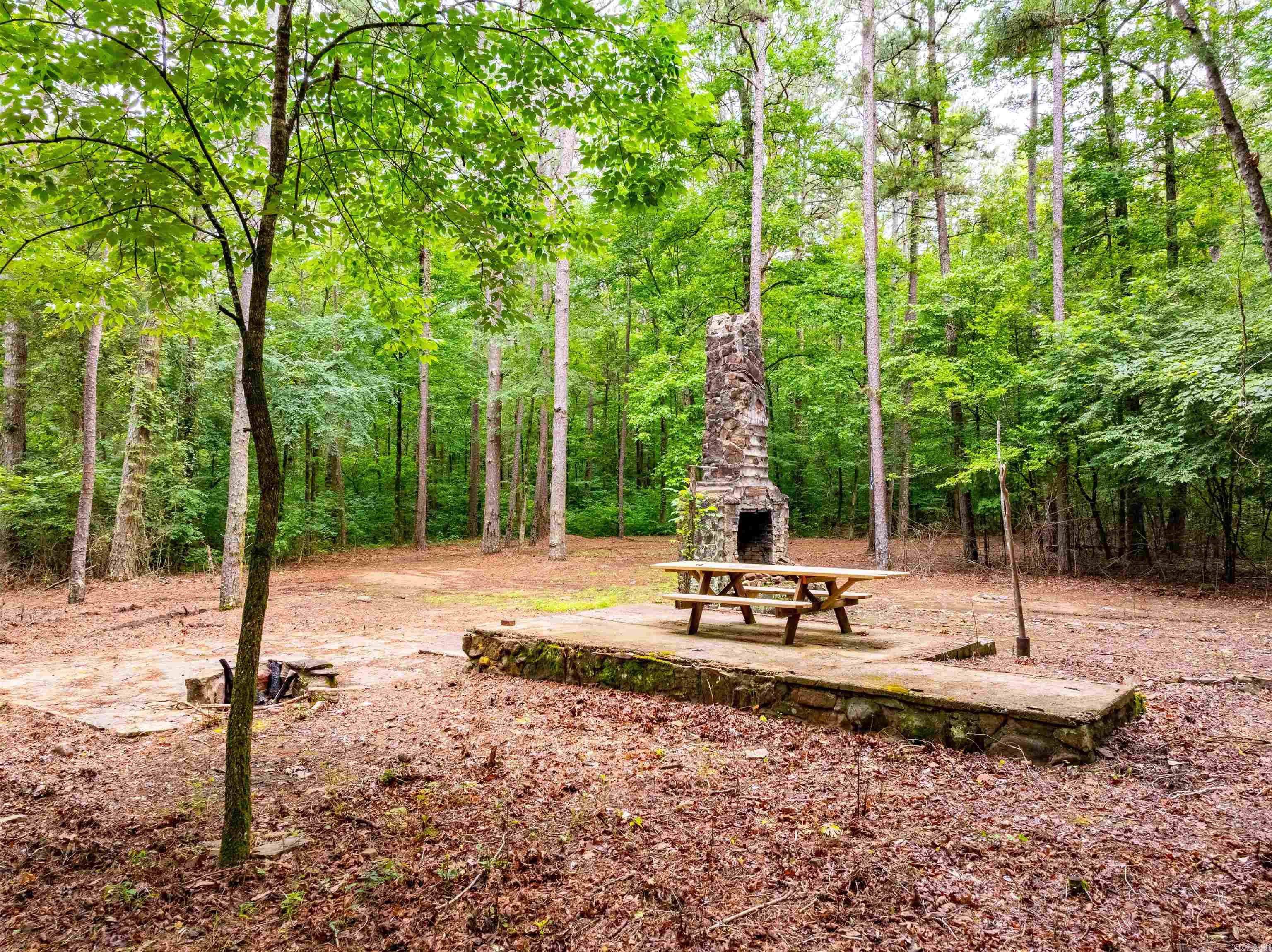 0 Middle Fork  Hector, AR