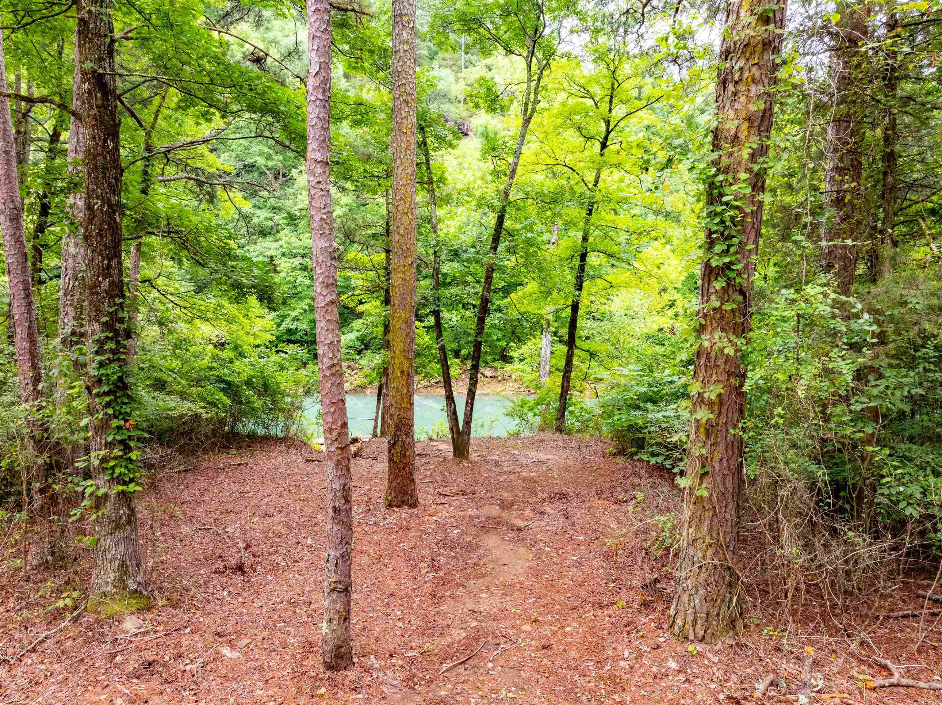 0 Middle Fork  Hector, AR