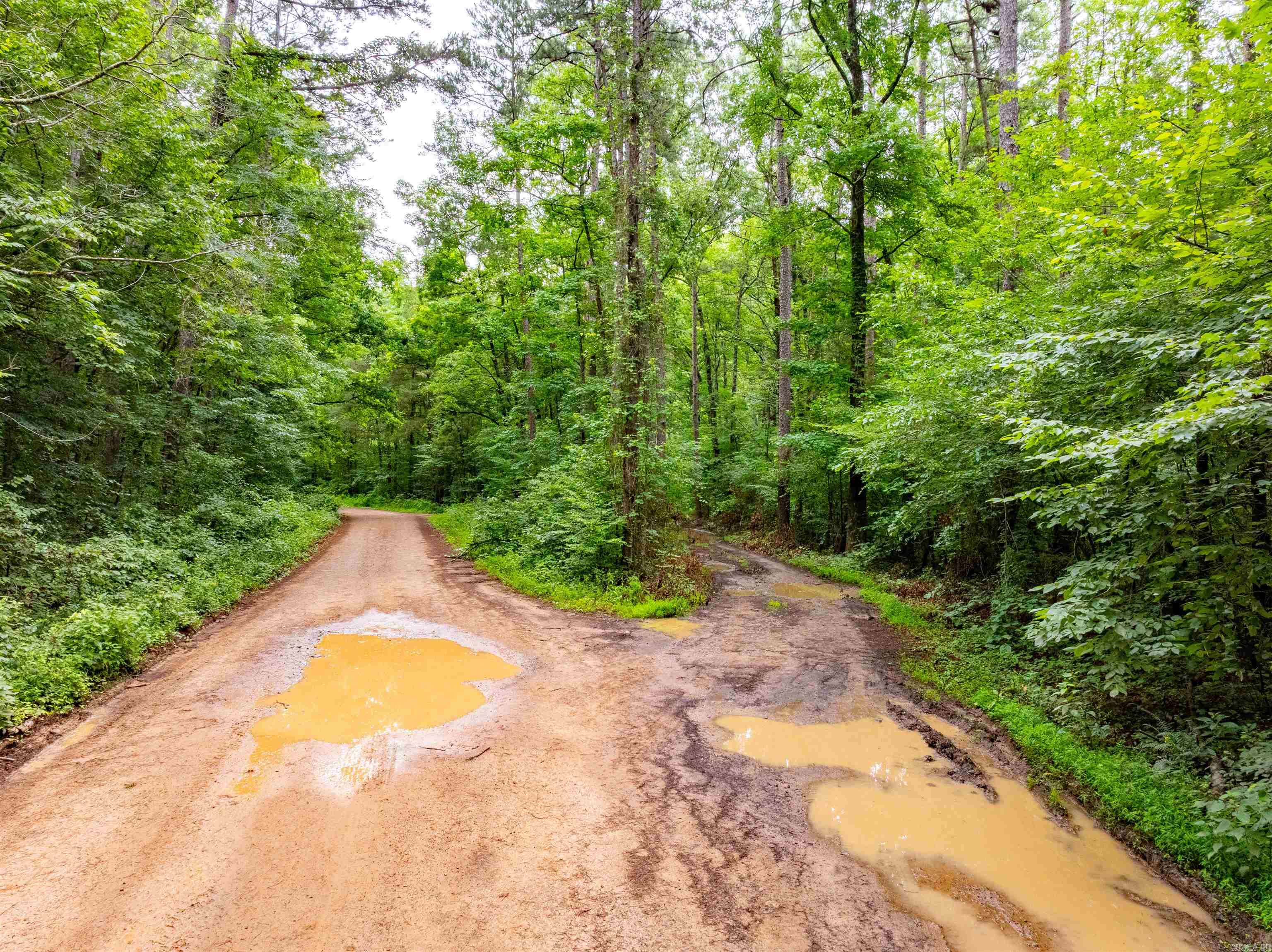 0 Middle Fork  Hector, AR