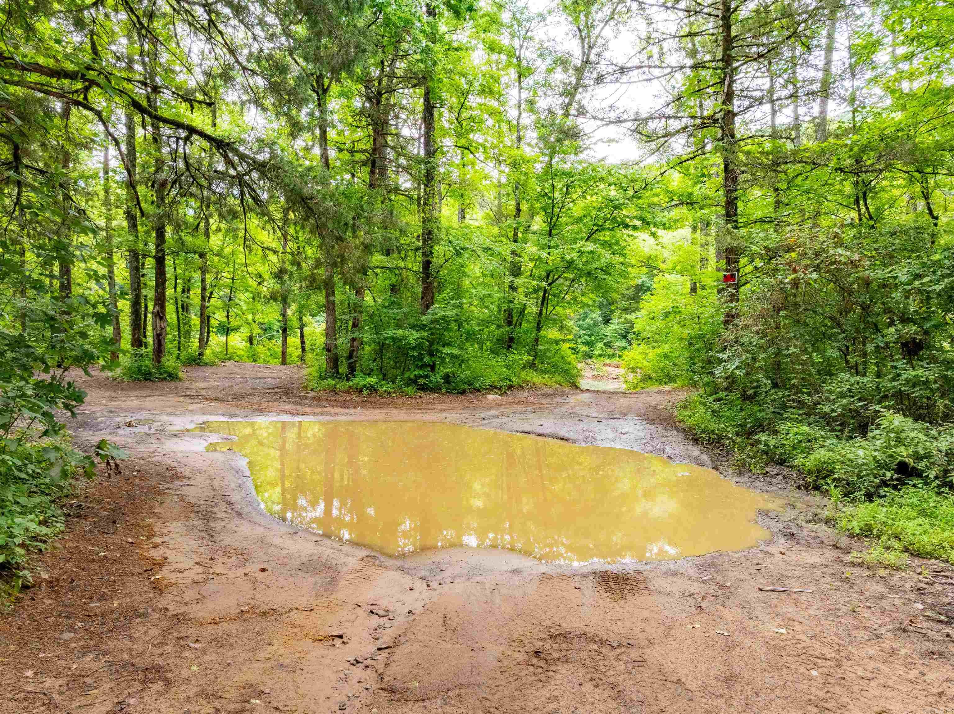 0 Middle Fork  Hector, AR