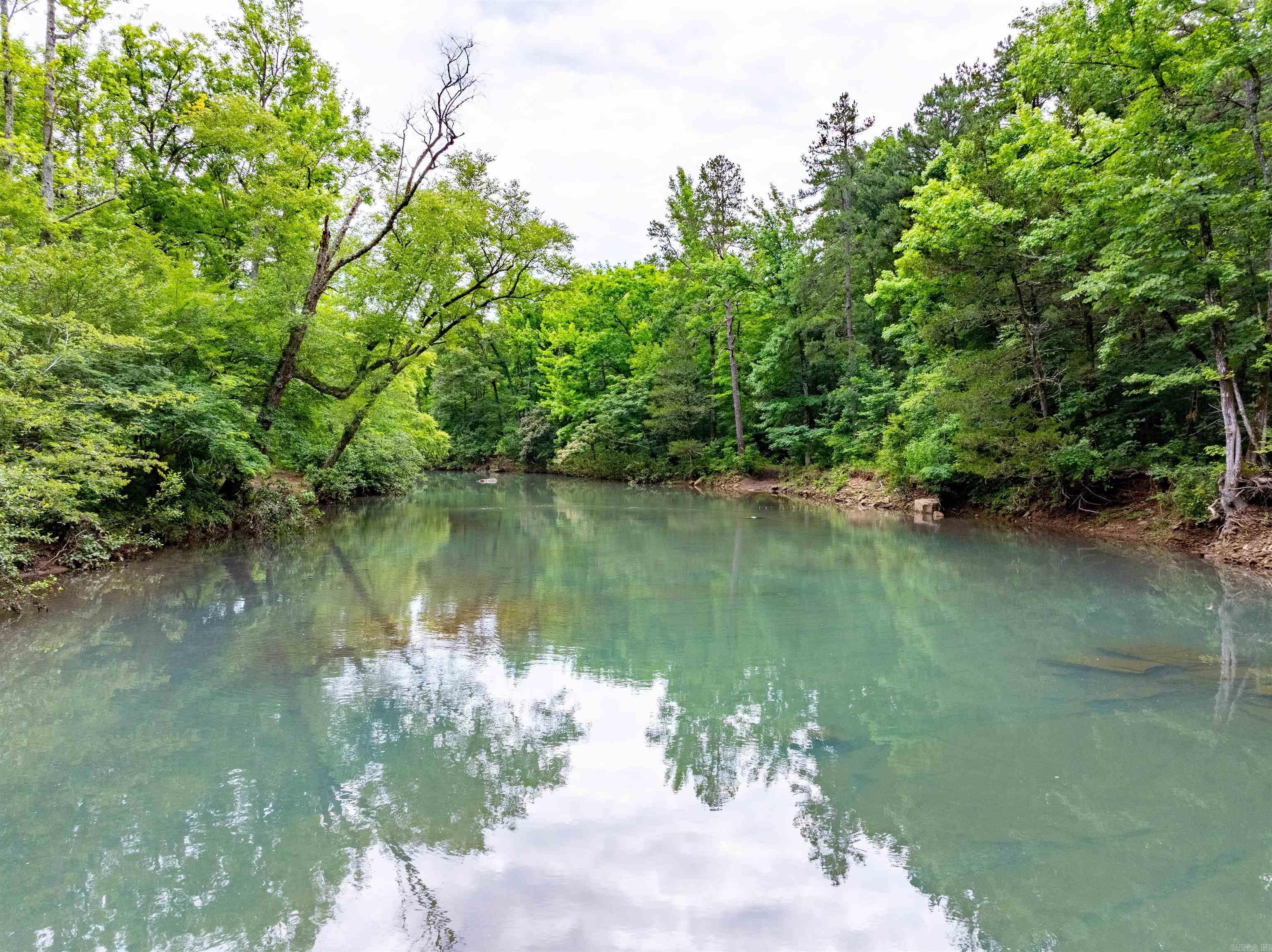 0 Middle Fork  Hector, AR
