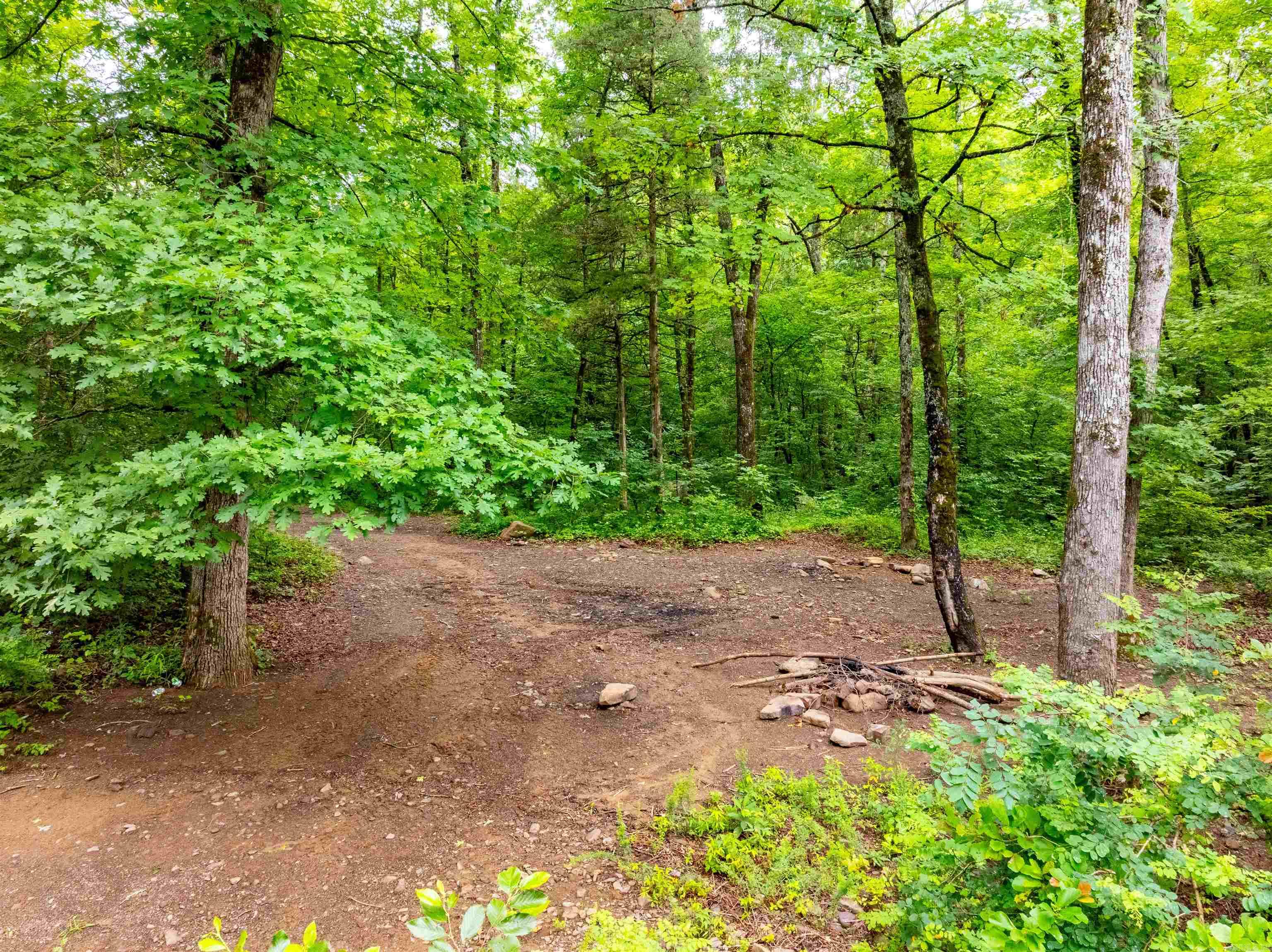 0 Middle Fork  Hector, AR