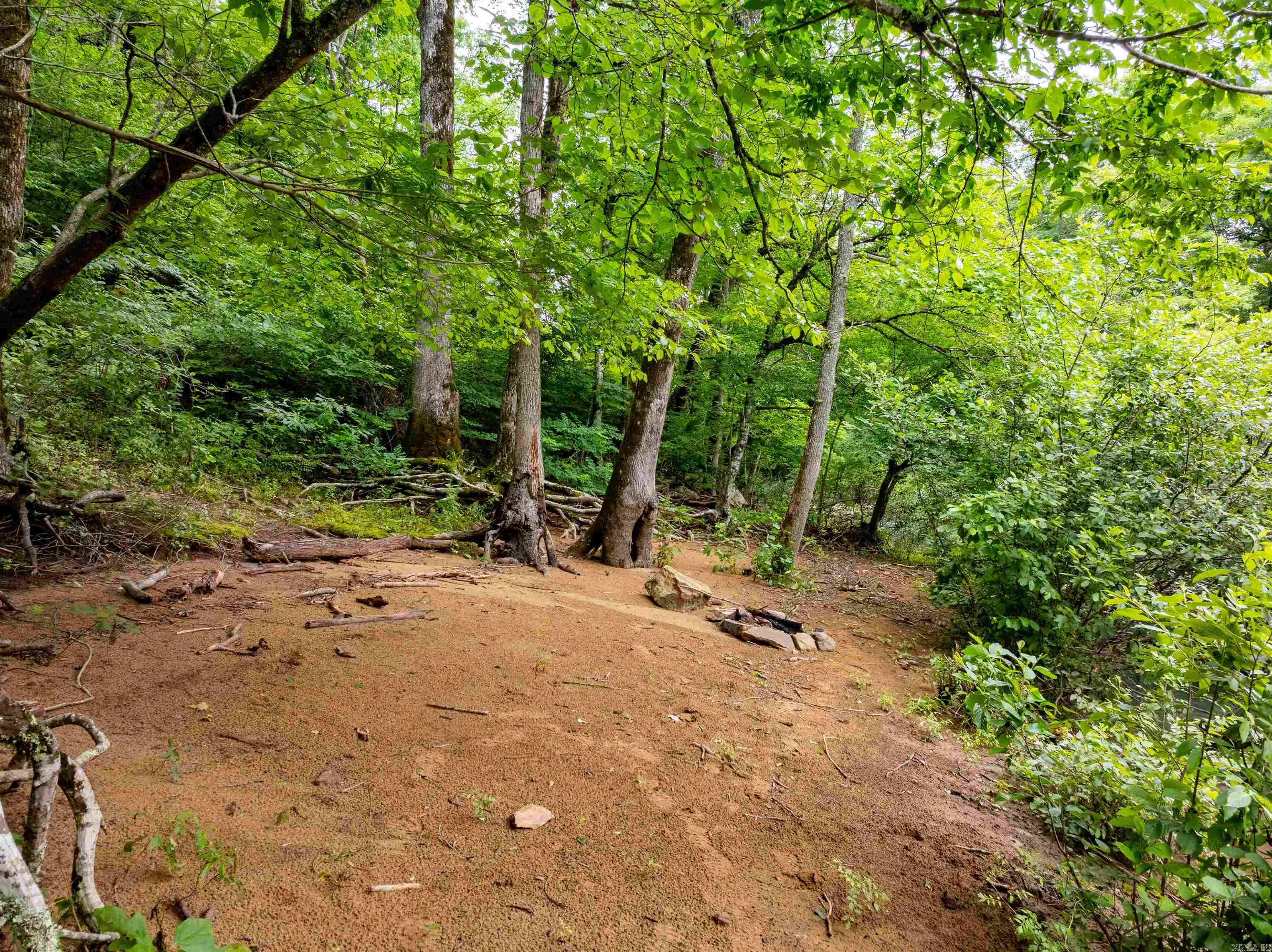 0 Middle Fork  Hector, AR