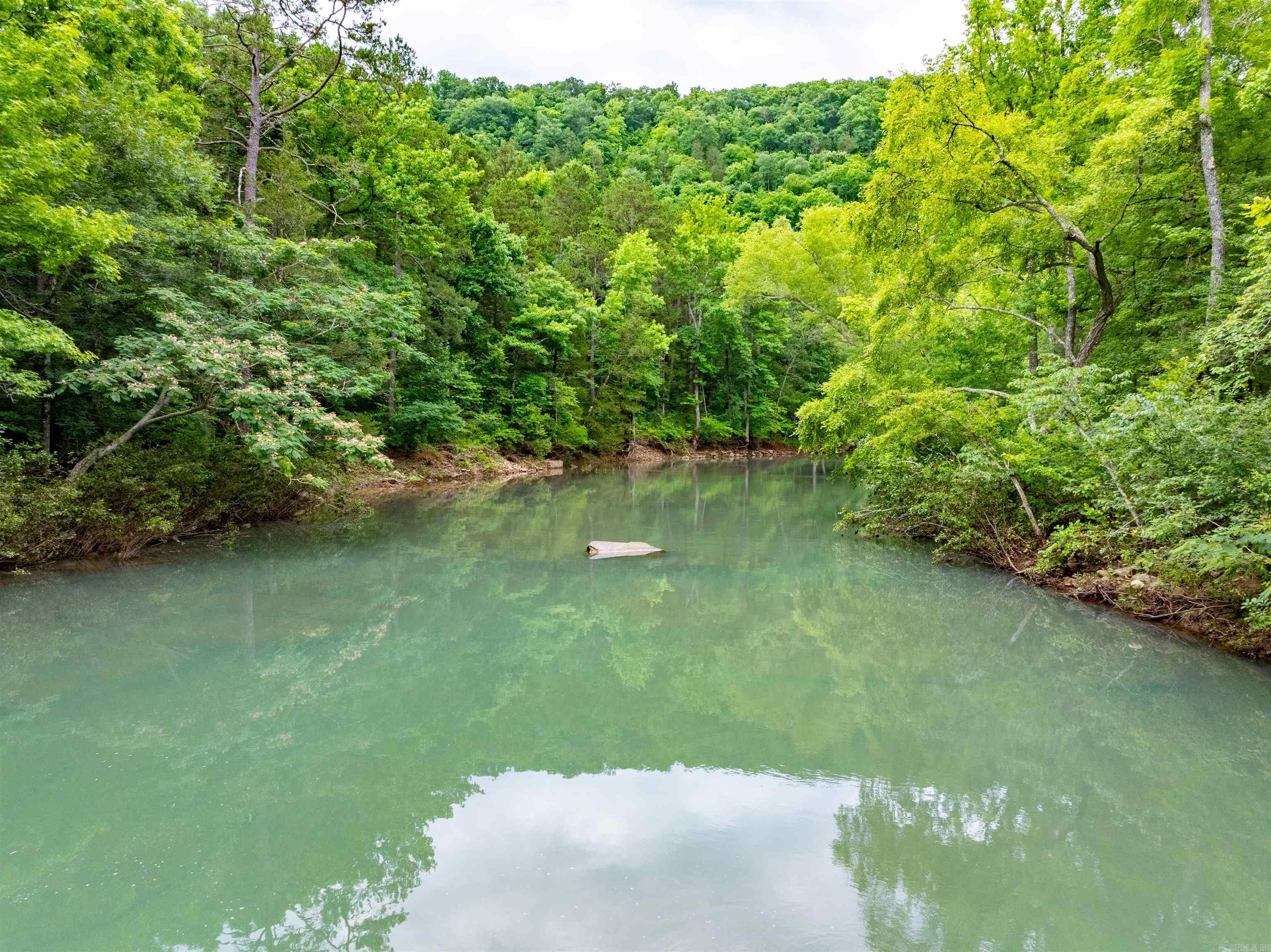 0 Middle Fork  Hector, AR