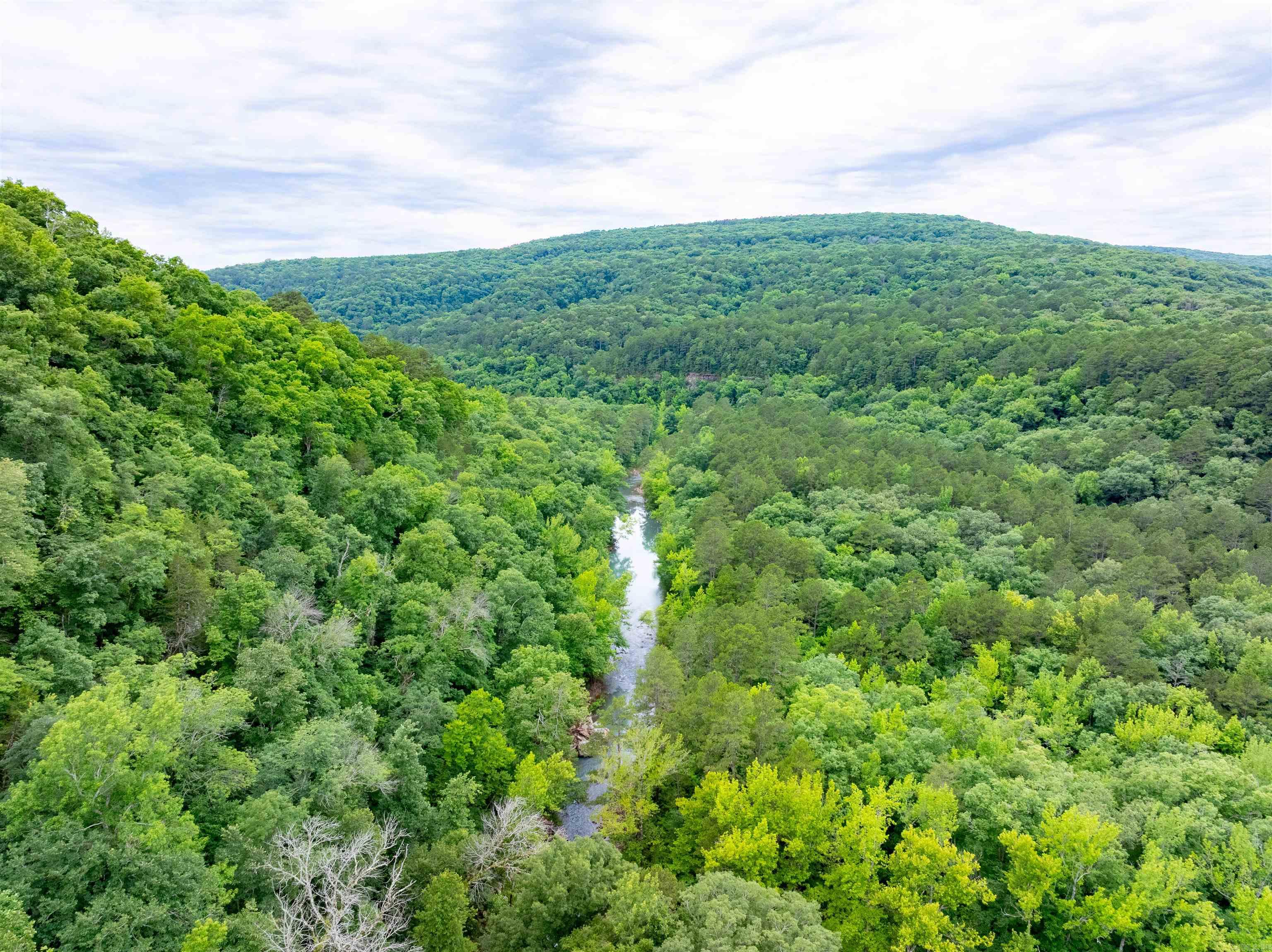 0 Middle Fork  Hector, AR