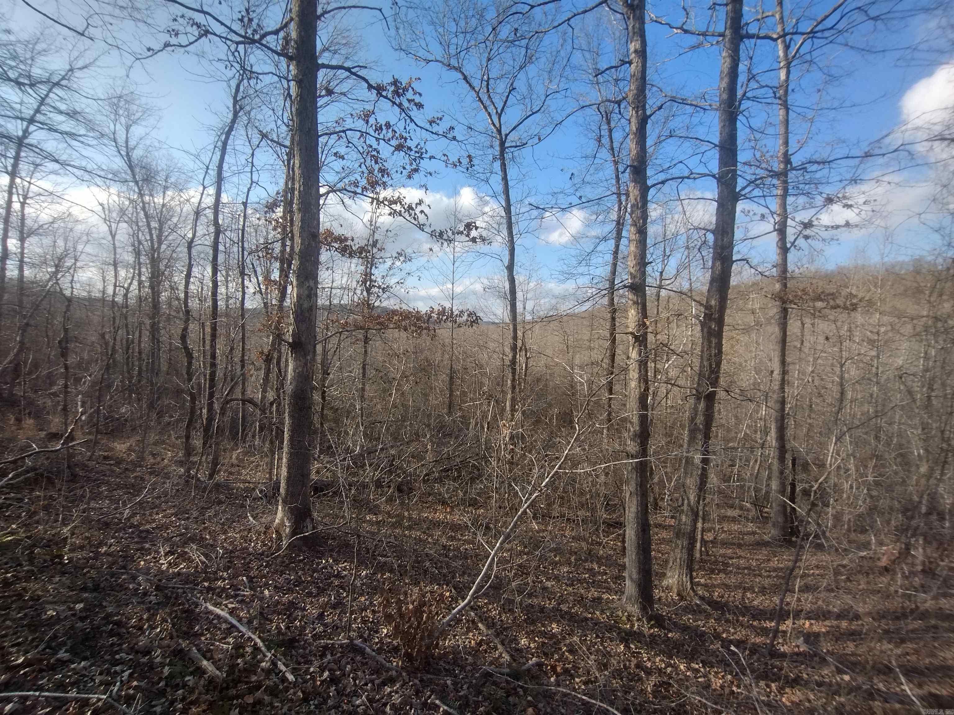 140 Brushy Creek rd  Mountain View, AR