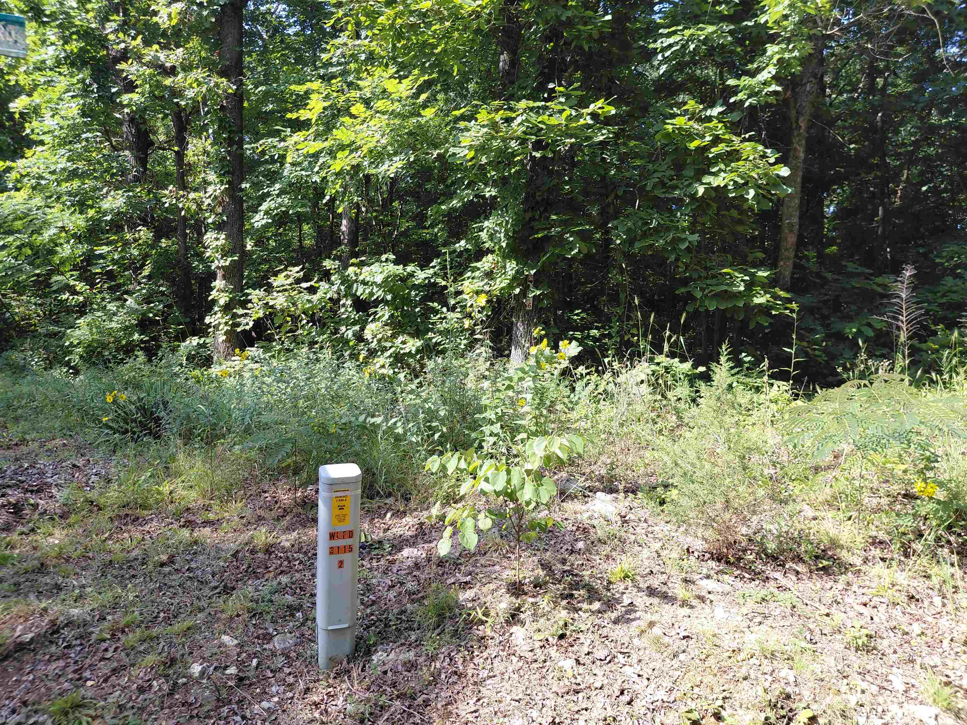  buckboard summit ridge dr Ozark Acres, AR