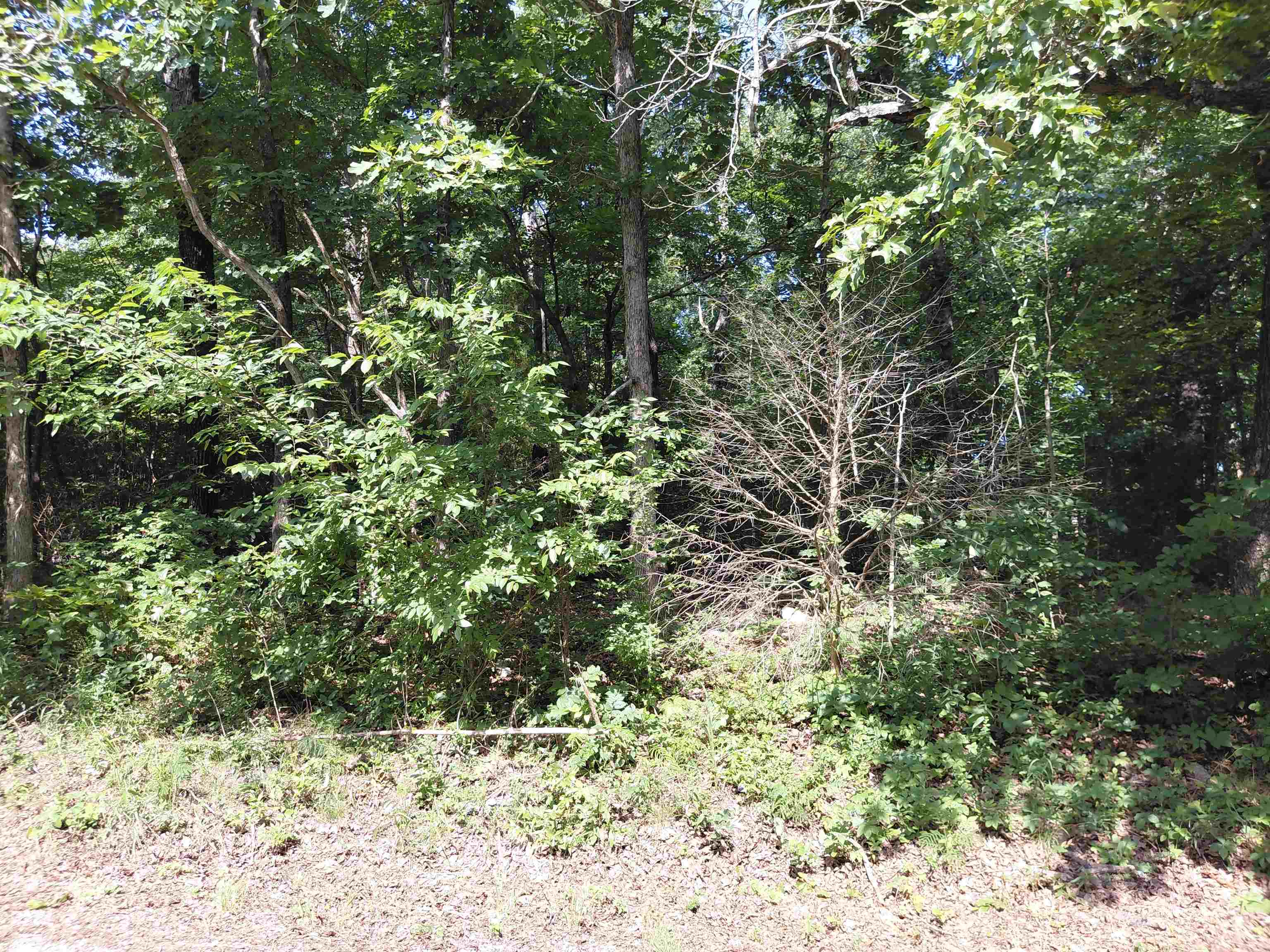  buckboard summit ridge dr Ozark Acres, AR