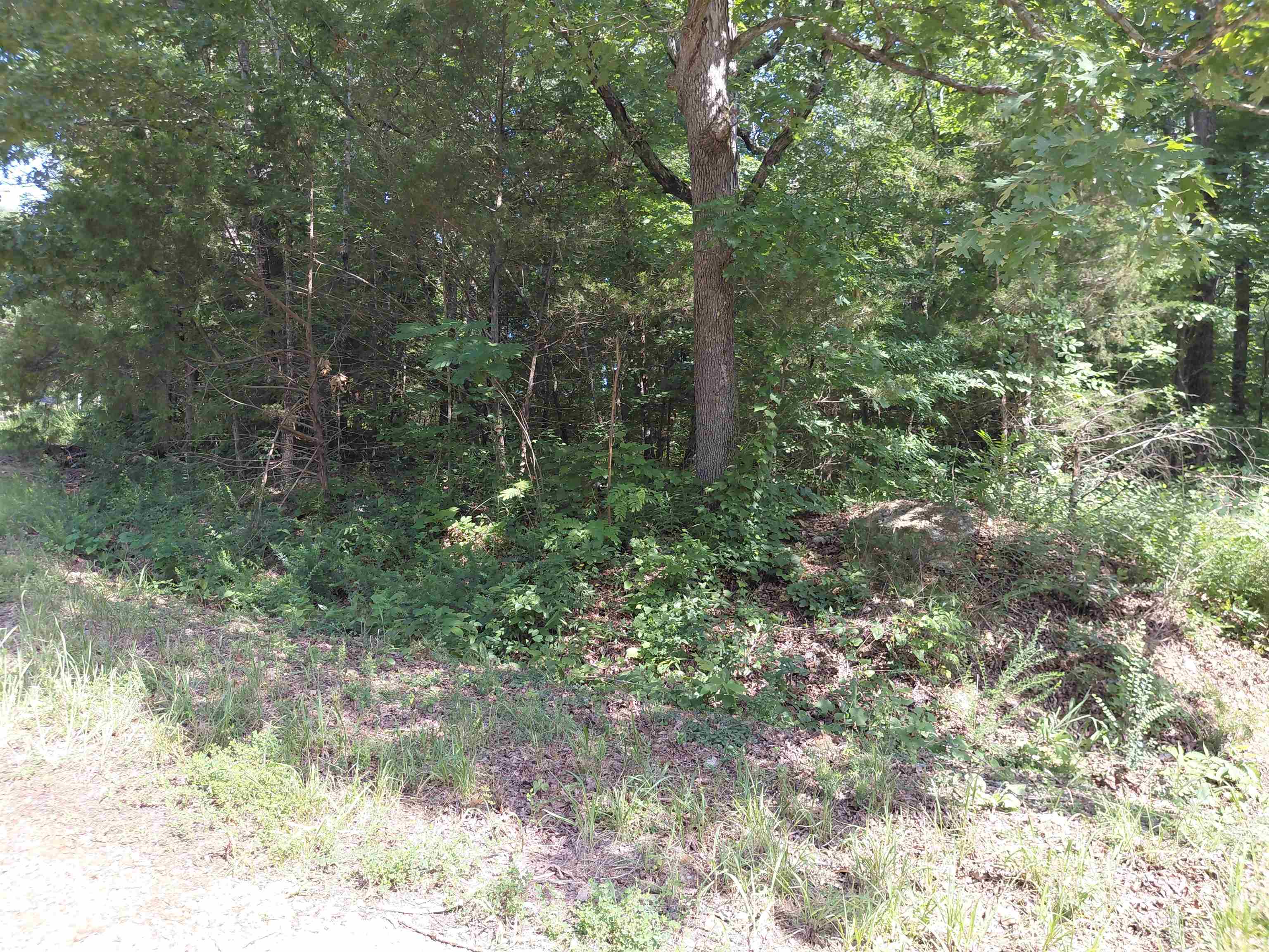  buckboard summit ridge dr Ozark Acres, AR