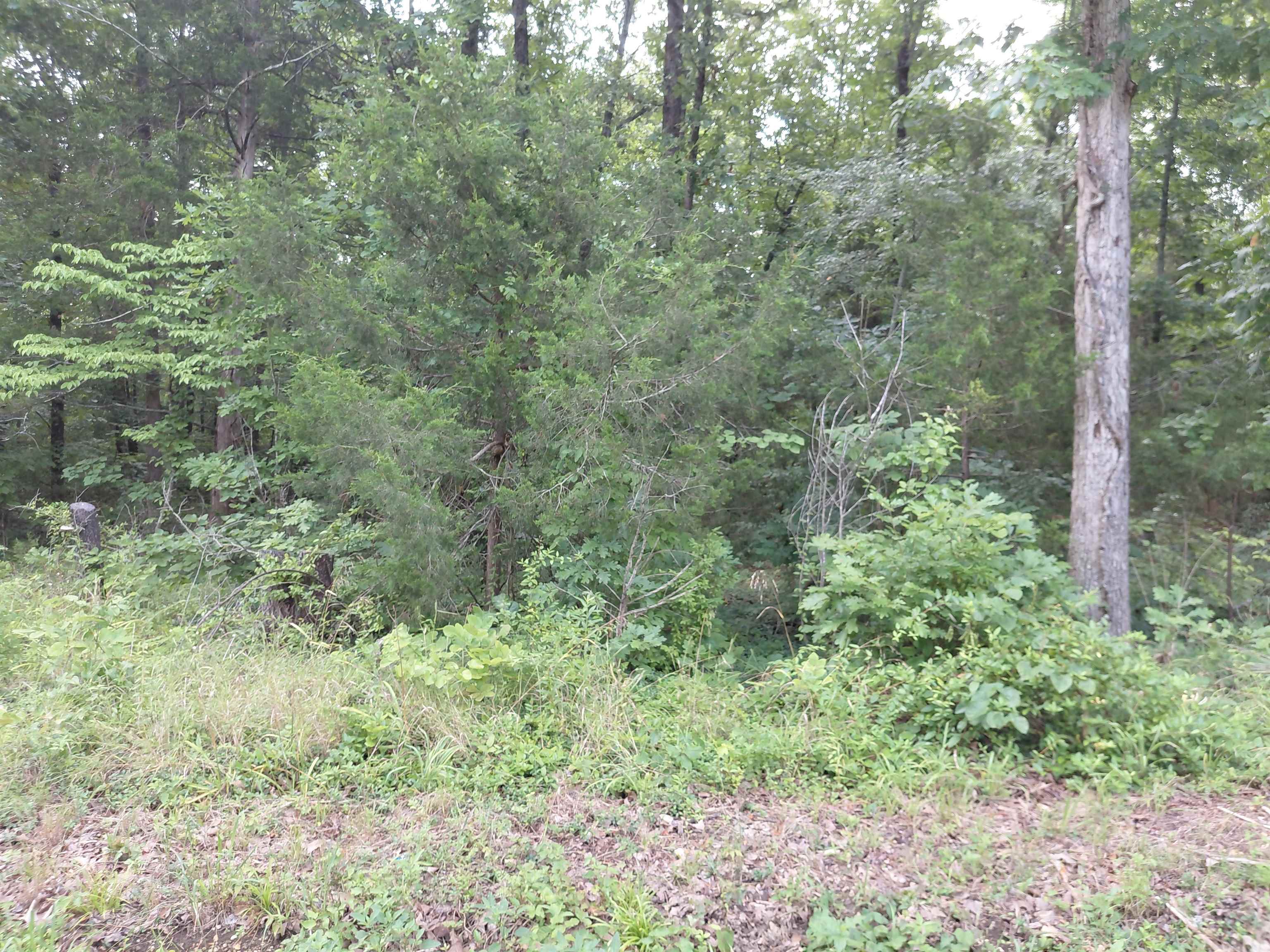  buckboard summit ridge dr Ozark Acres, AR