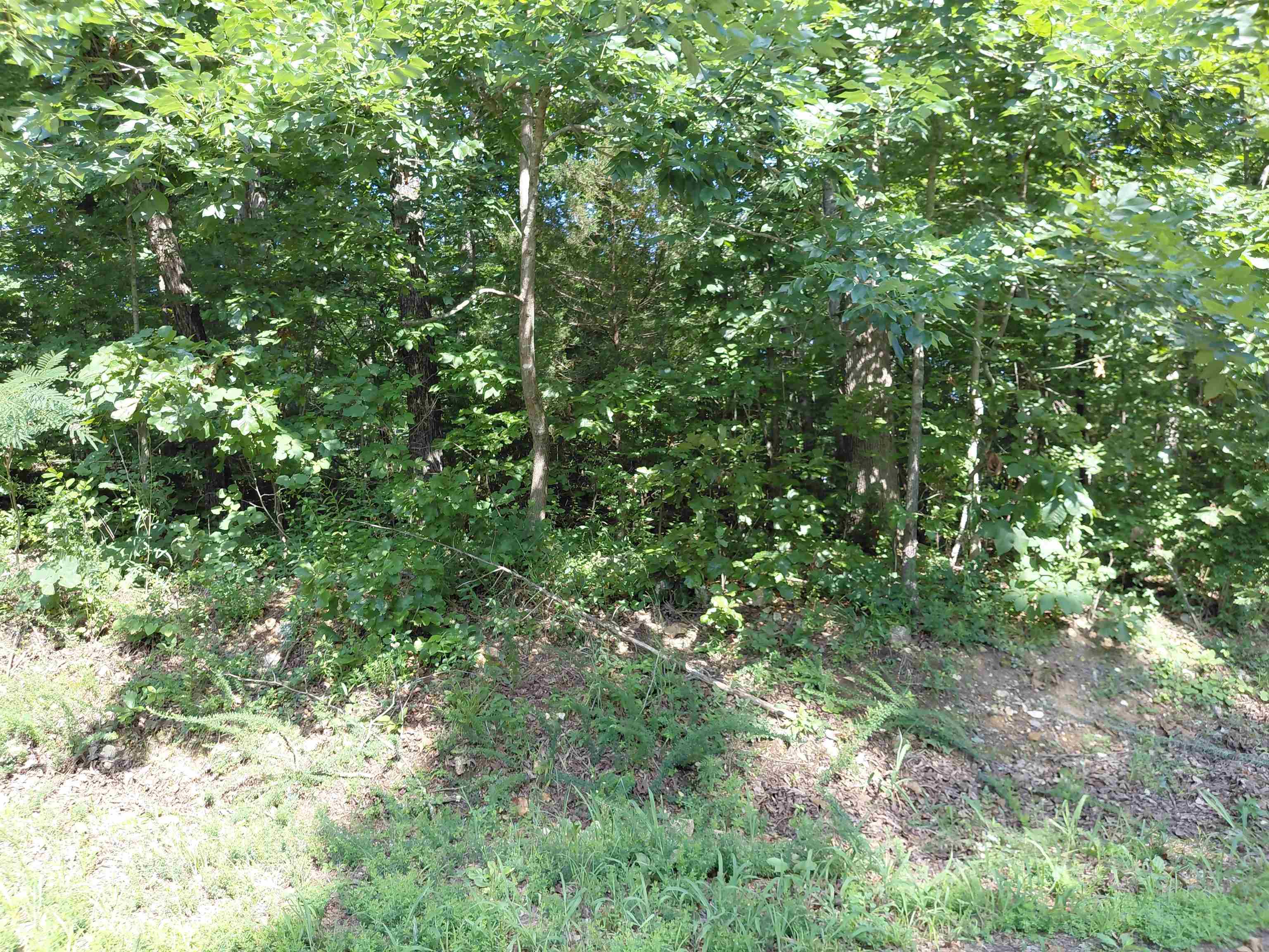  buckboard summit ridge dr Ozark Acres, AR