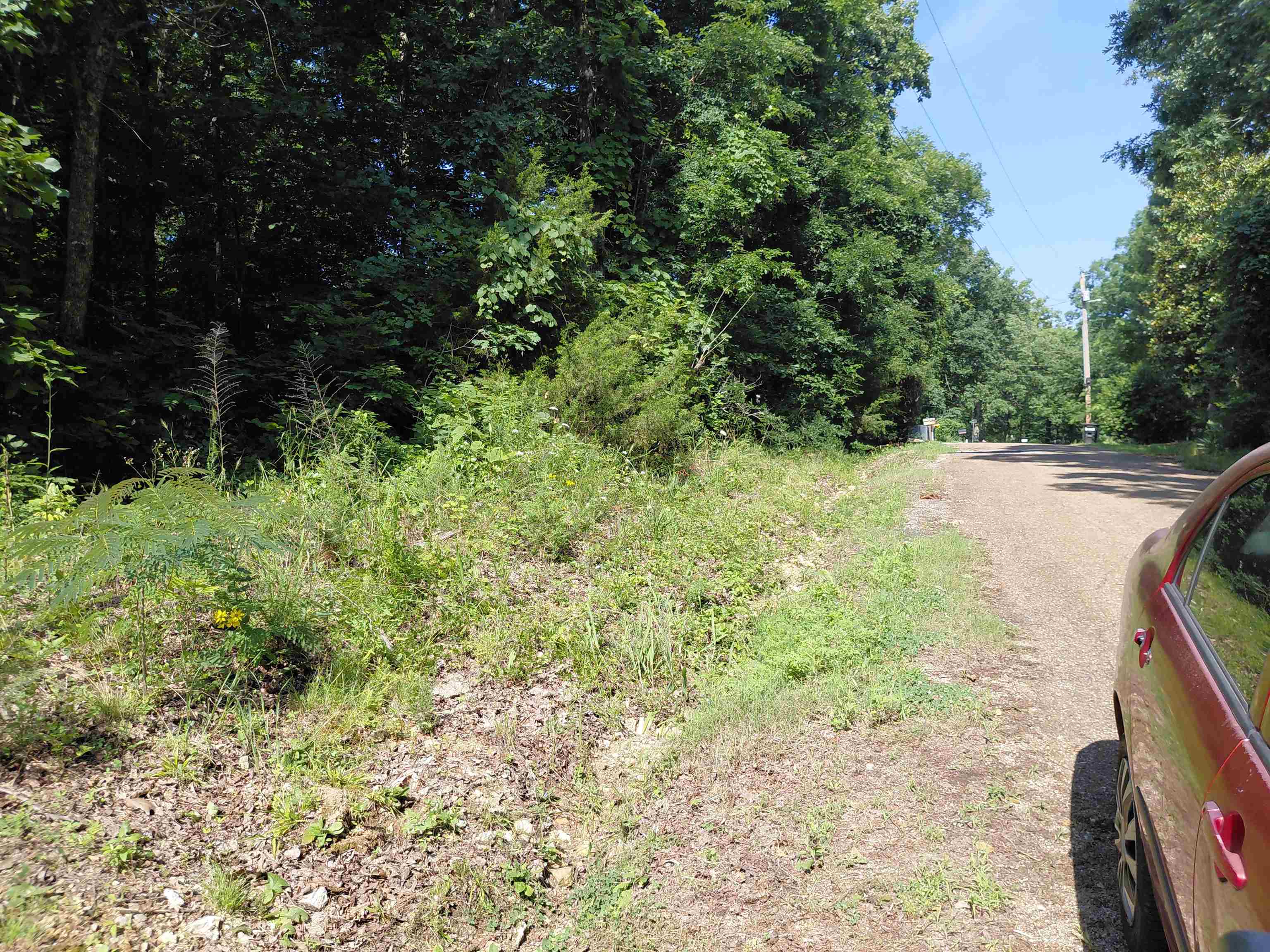  Ponderosa Vagabond dr Ozark Acres, AR