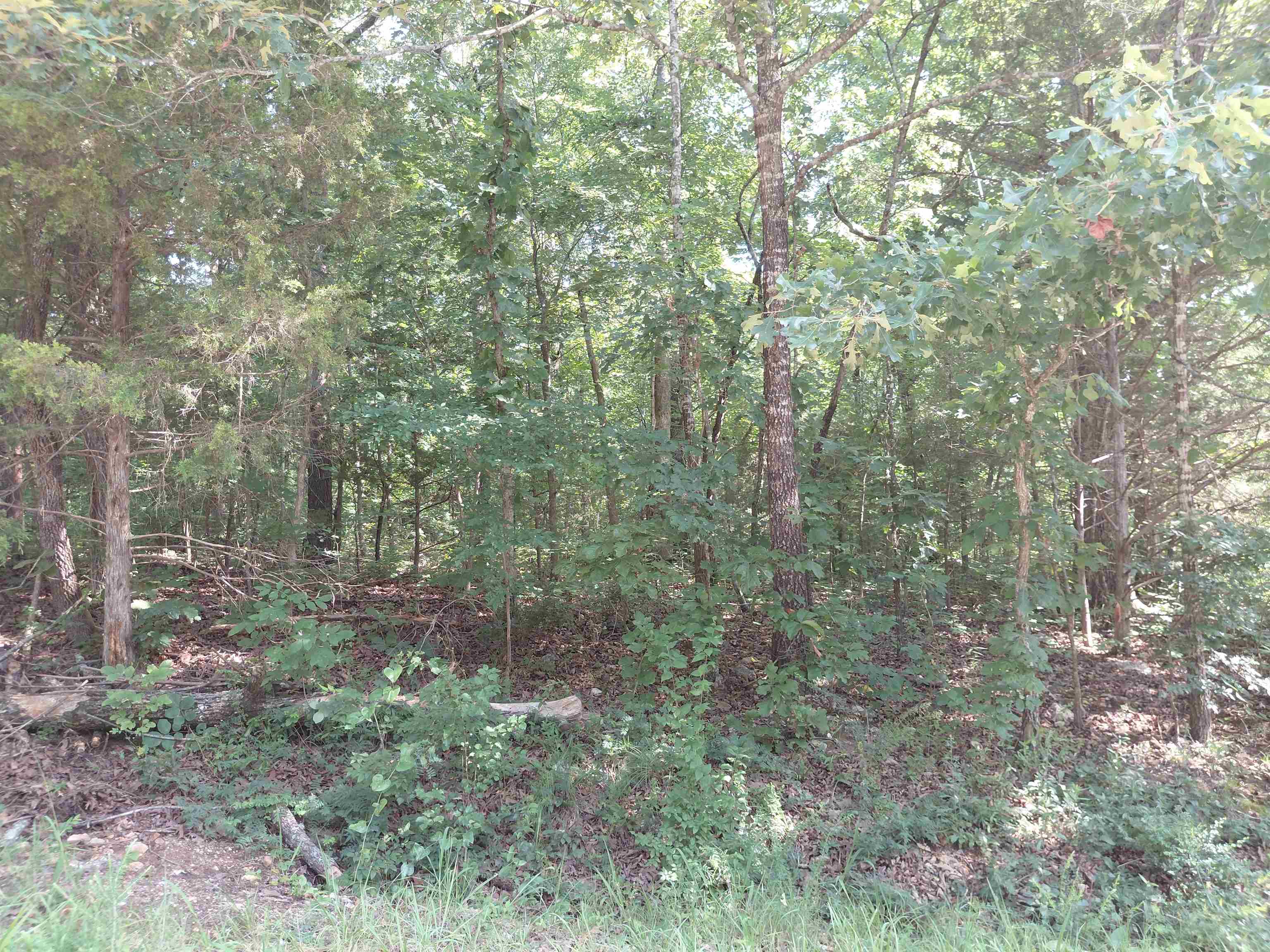  Ponderosa Vagabond dr Ozark Acres, AR