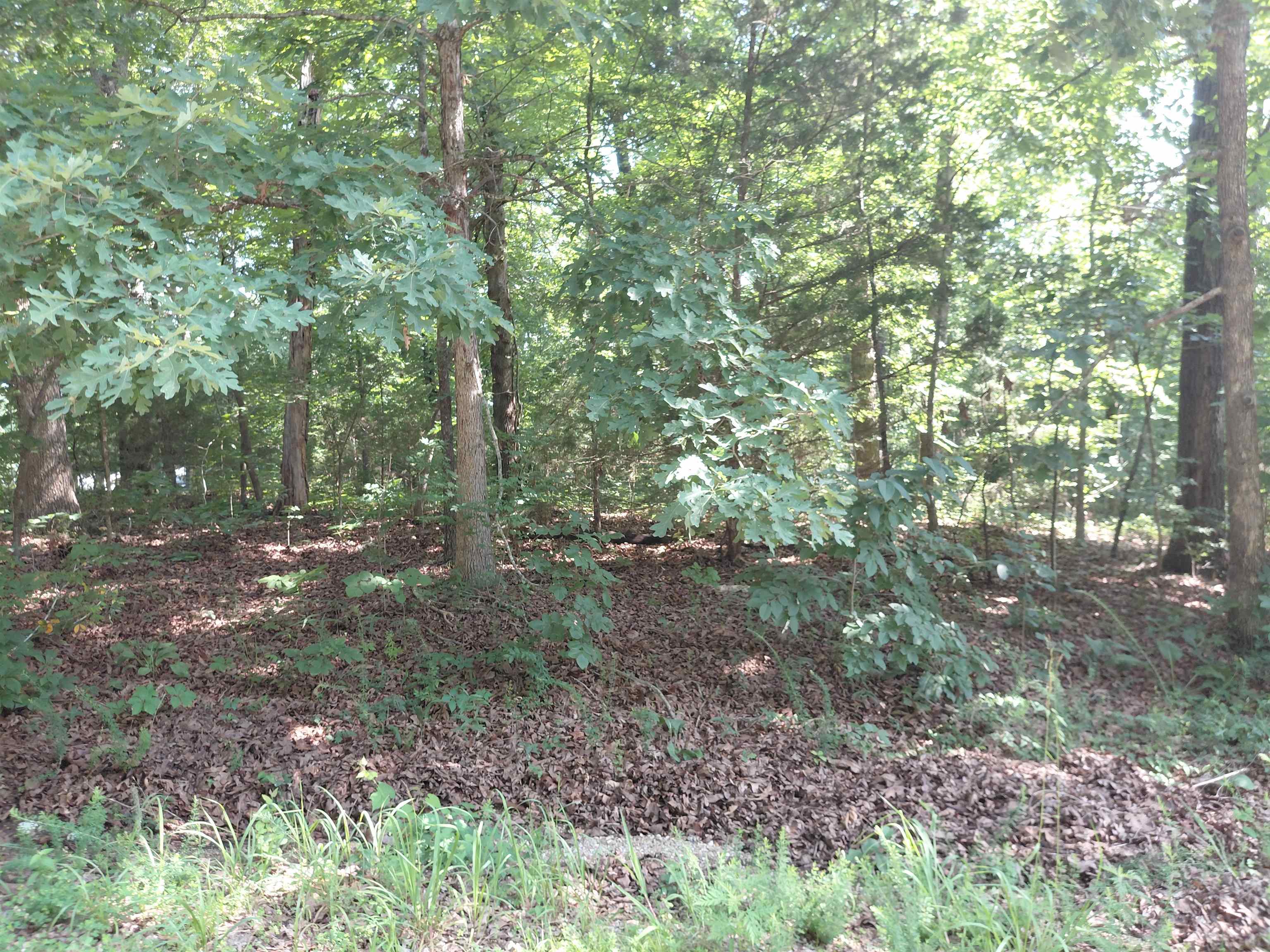  Ponderosa Vagabond dr Ozark Acres, AR
