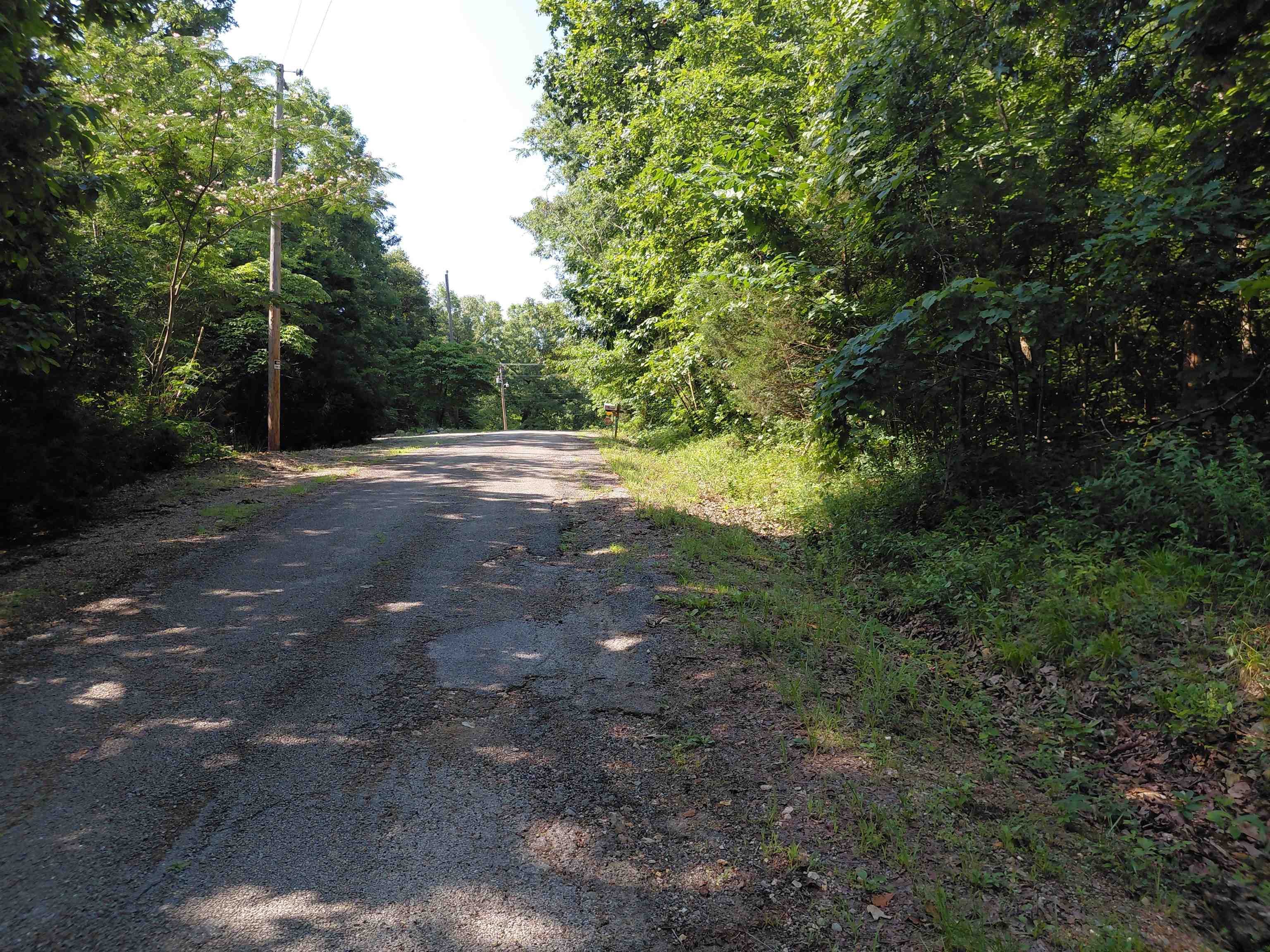  Ponderosa Vagabond dr Ozark Acres, AR