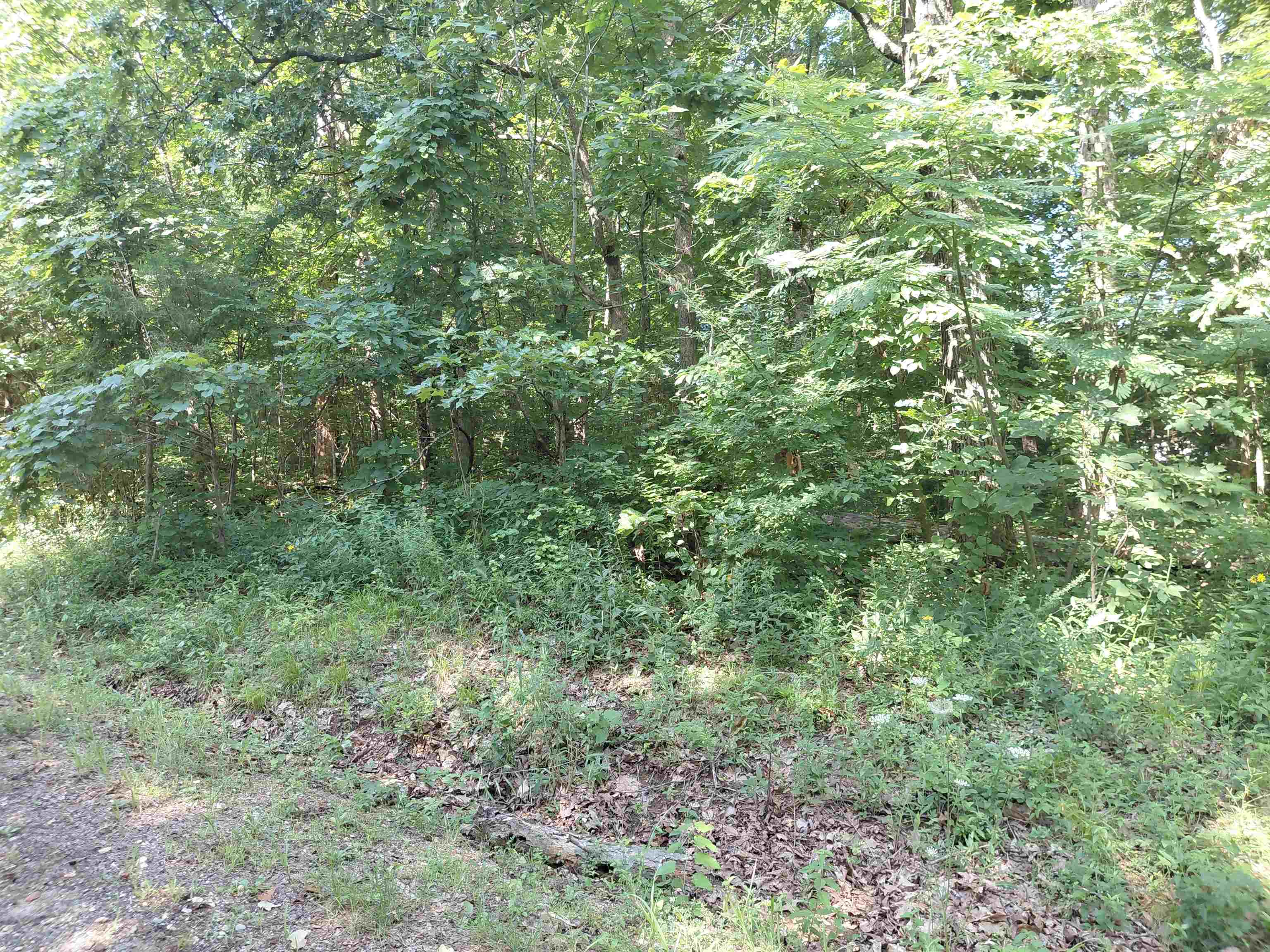 Ponderosa Vagabond dr Ozark Acres, AR
