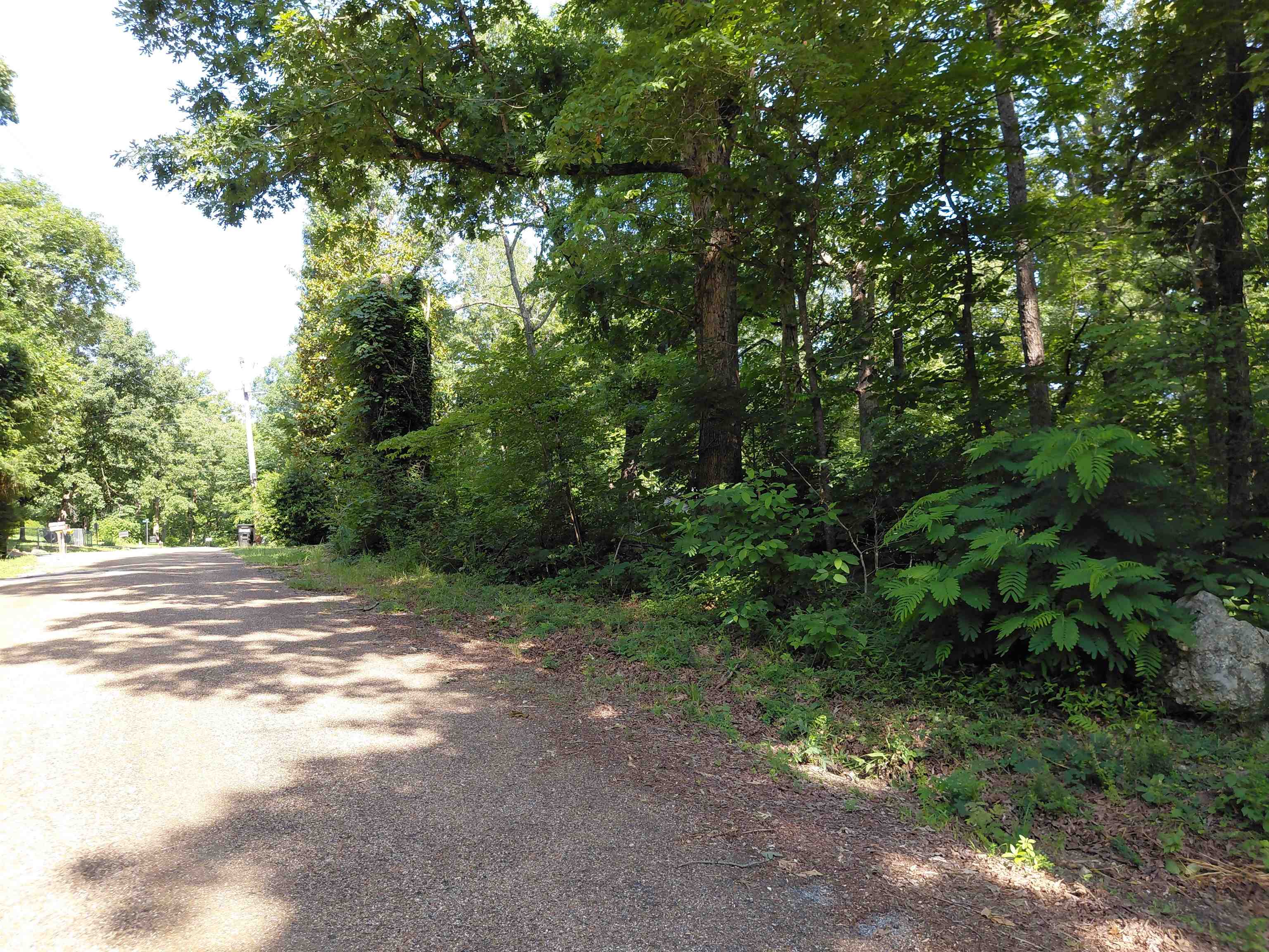  Vagabond Summit Ridge Dr Ozark Acres, AR