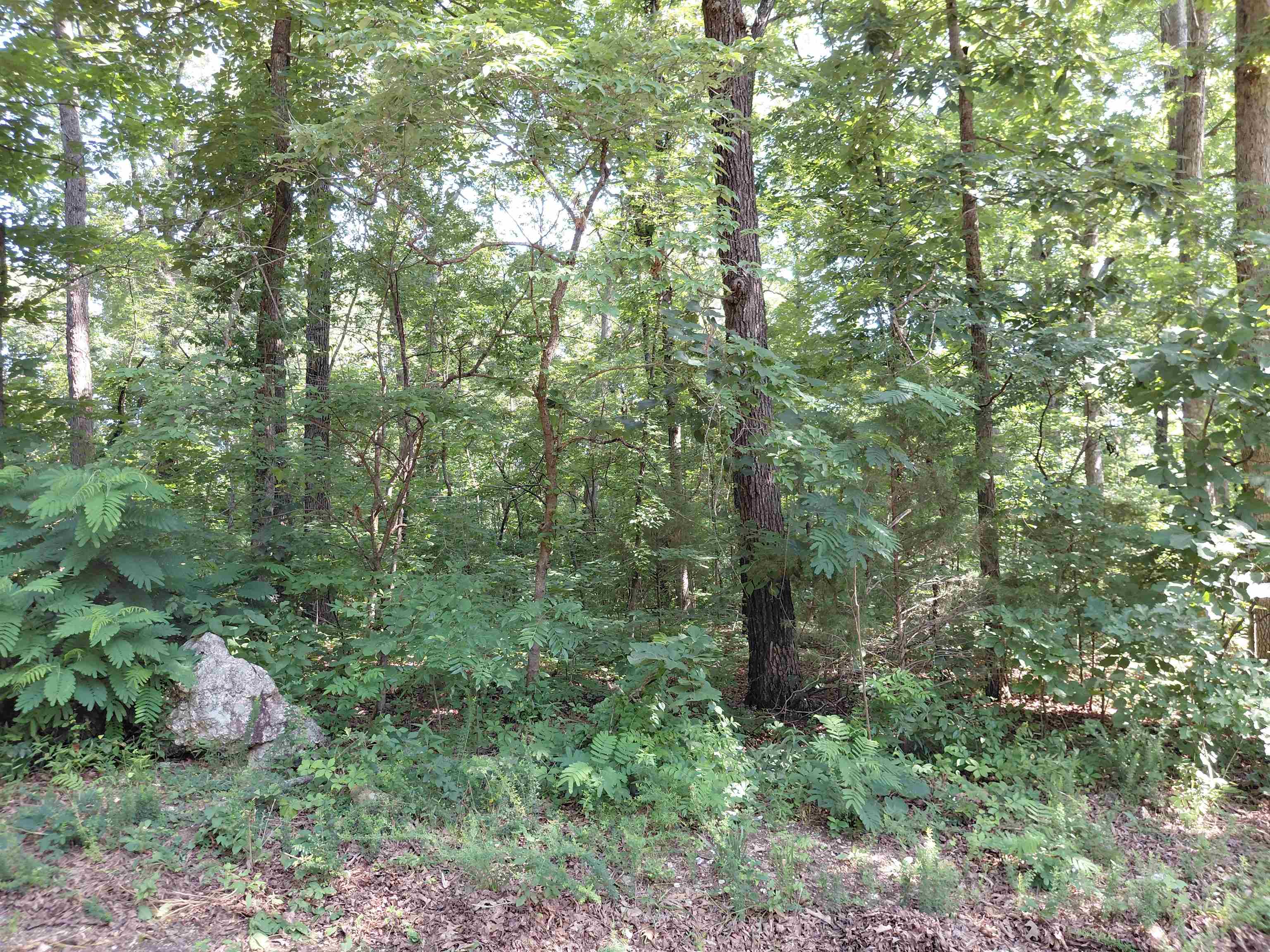  Vagabond Summit Ridge Dr Ozark Acres, AR