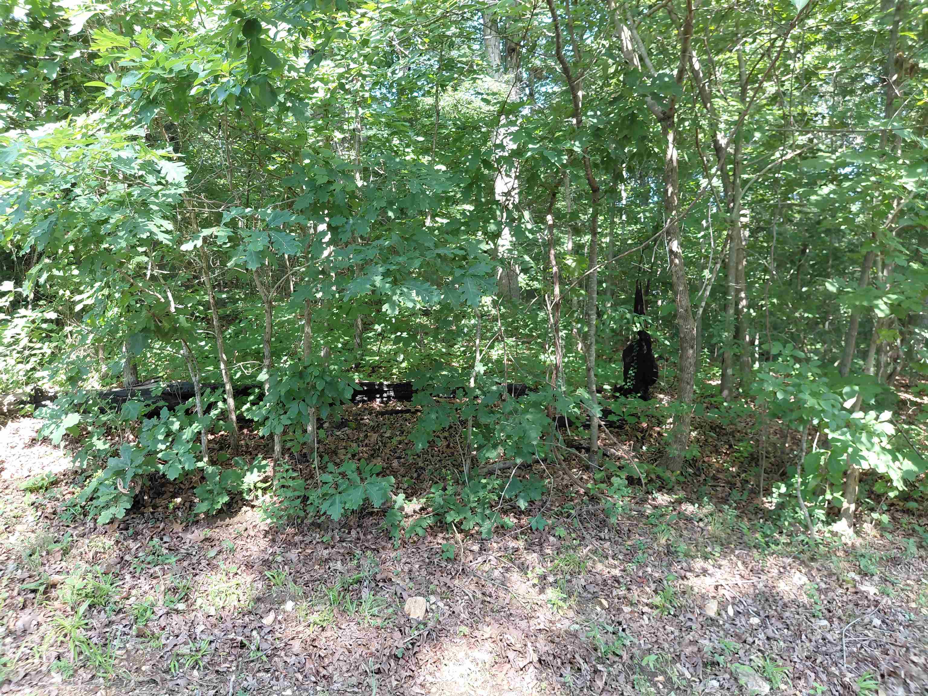  Vagabond Summit Ridge Dr Ozark Acres, AR