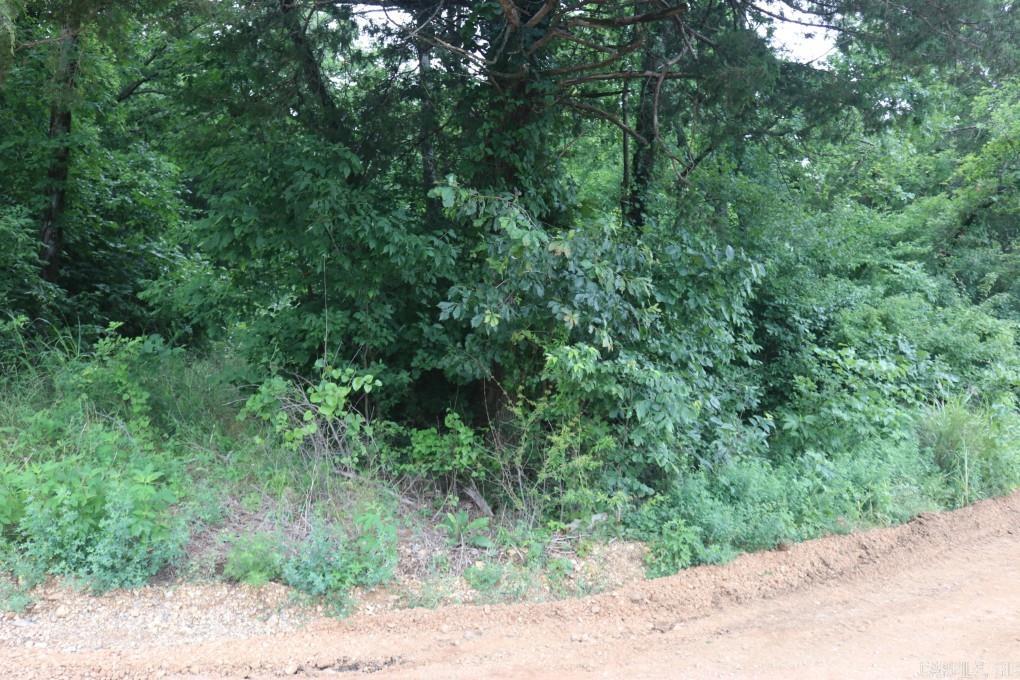 00 Wickham  Mountain View, AR