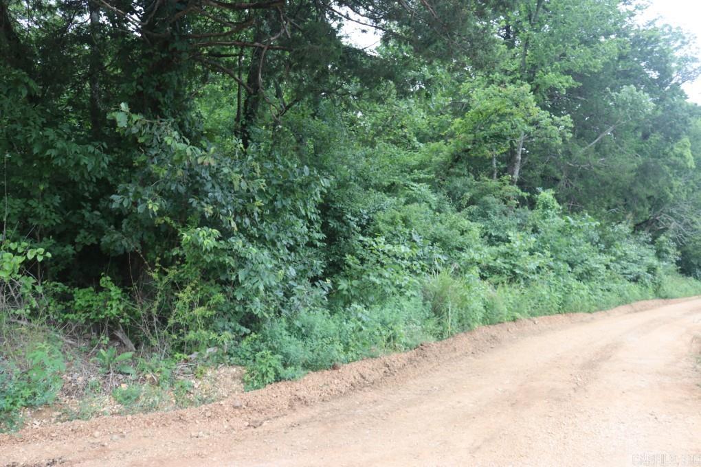00 Wickham  Mountain View, AR