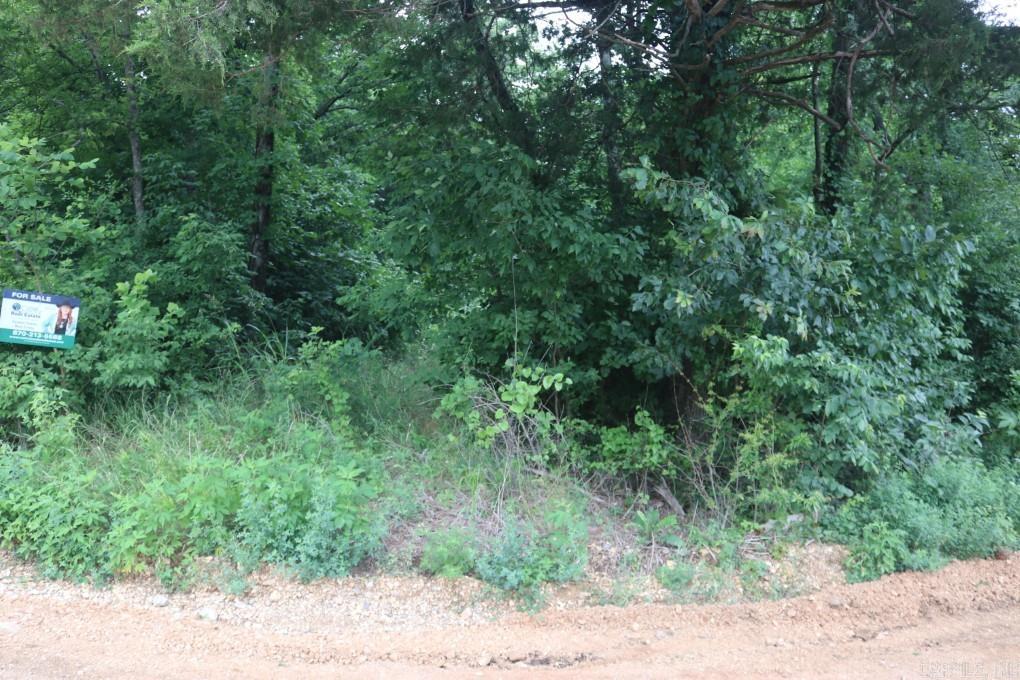 00 Wickham  Mountain View, AR
