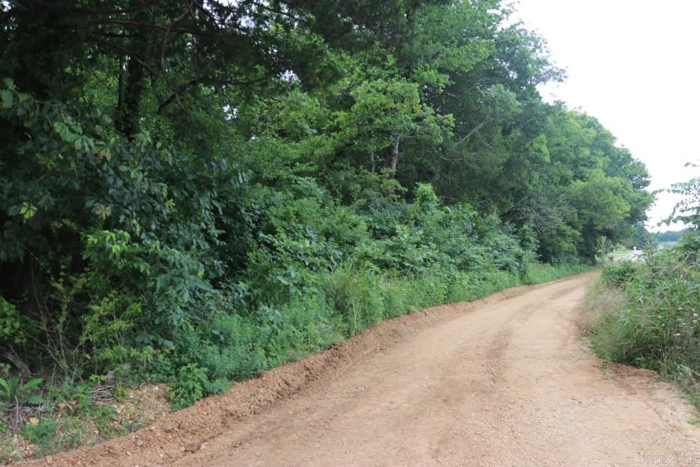 00 Wickham  Mountain View, AR