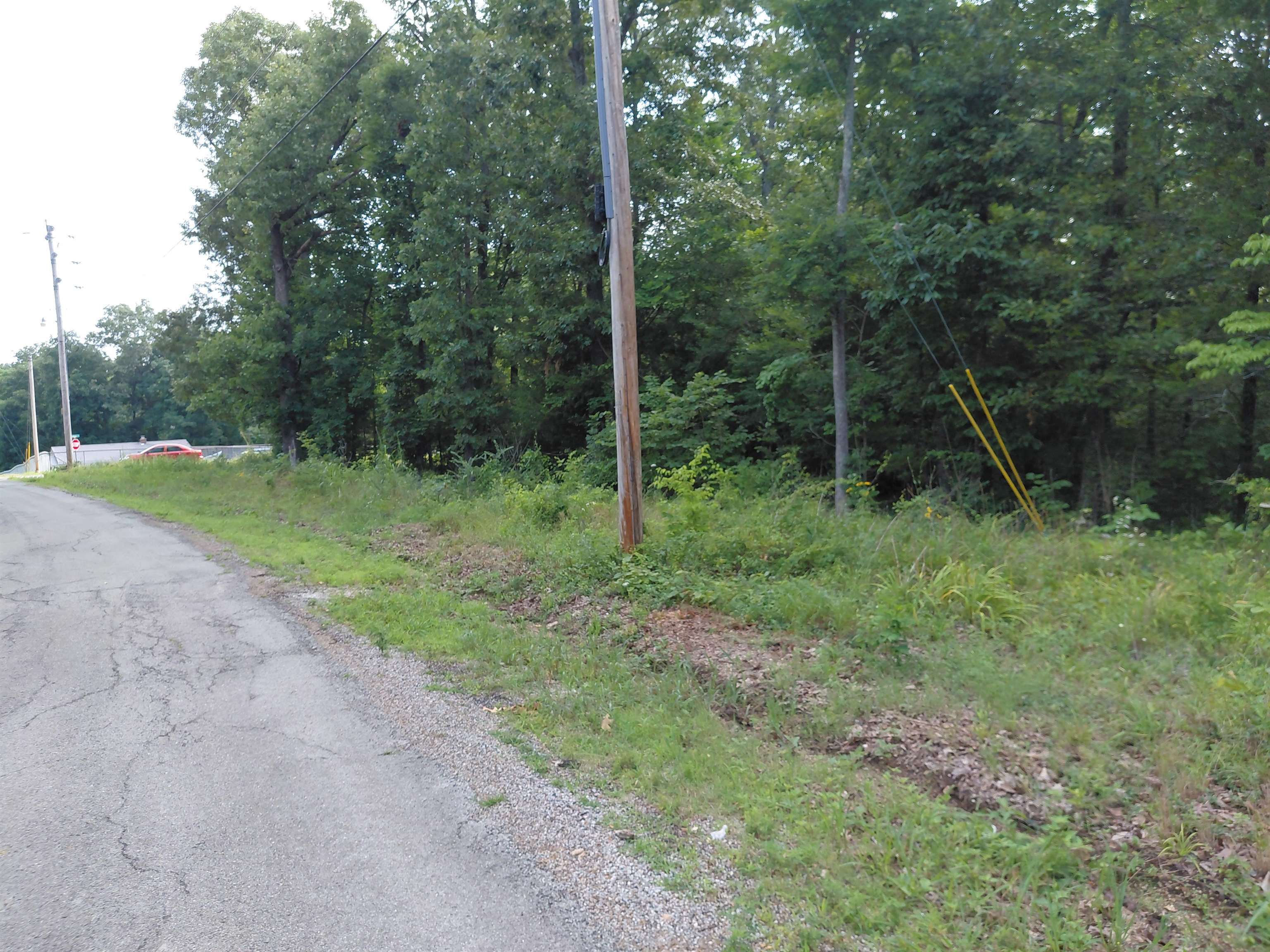  Ponderosa Buckboard Rd Ozark Acres, AR