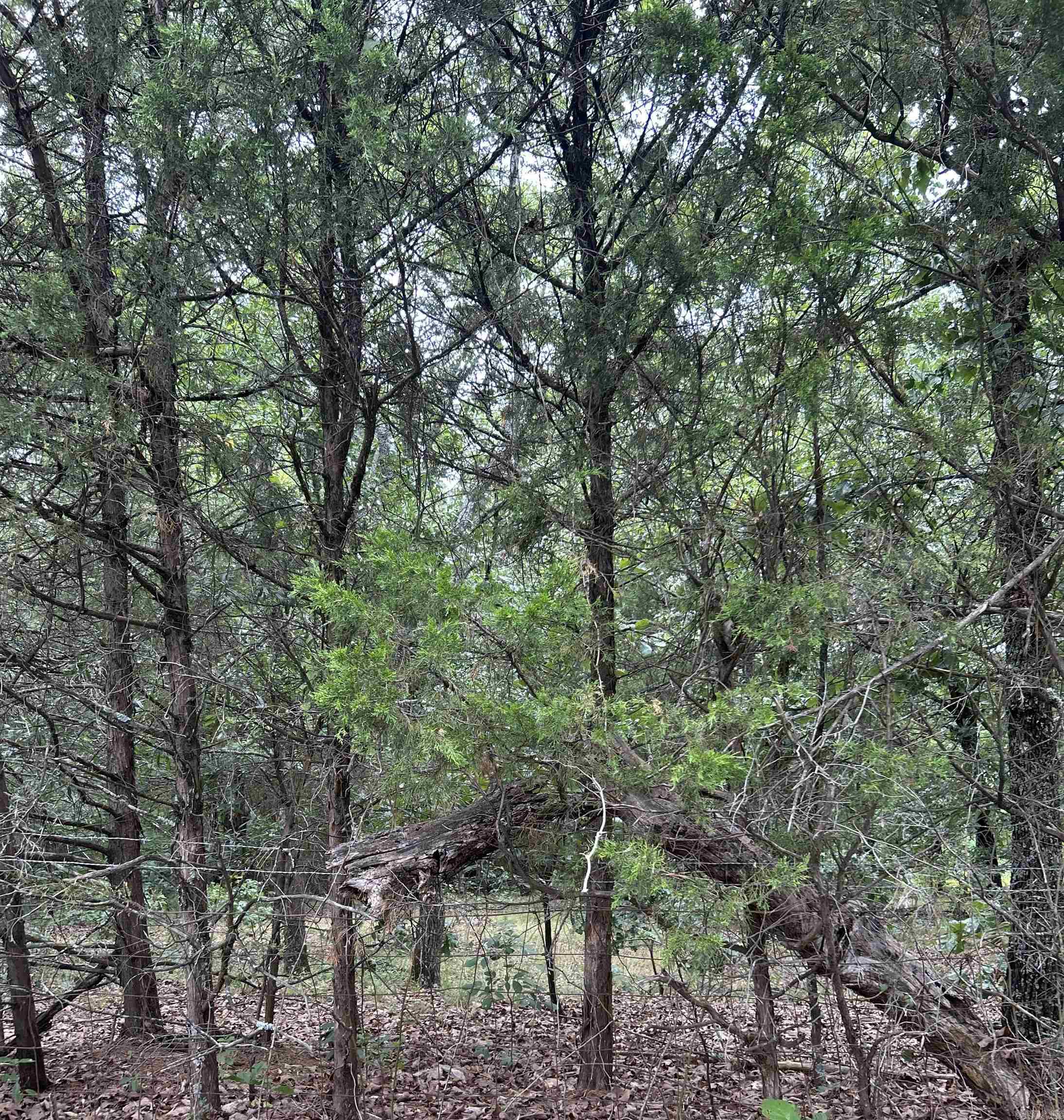 3324 Donnell Ridge Road  Conway, AR