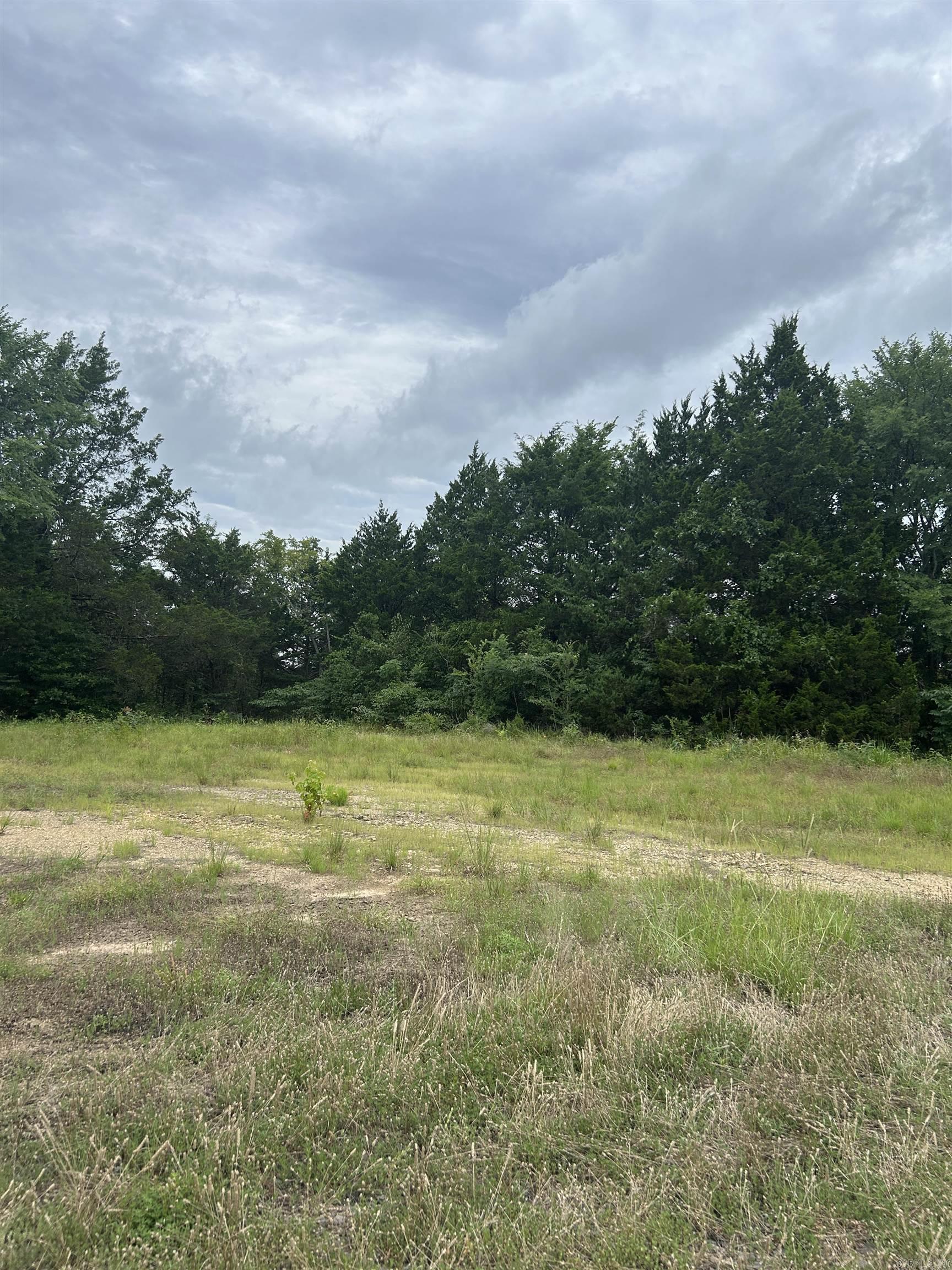 3324 Donnell Ridge Road  Conway, AR