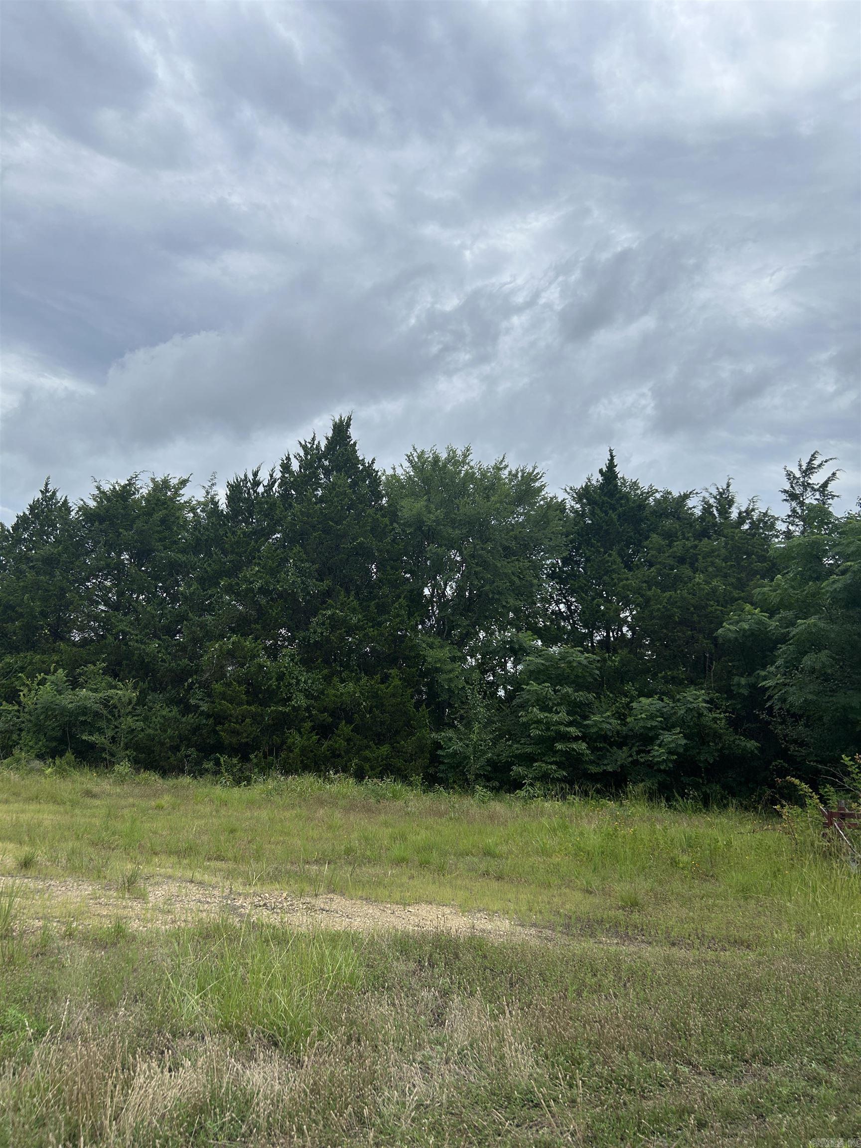 3324 Donnell Ridge Road  Conway, AR