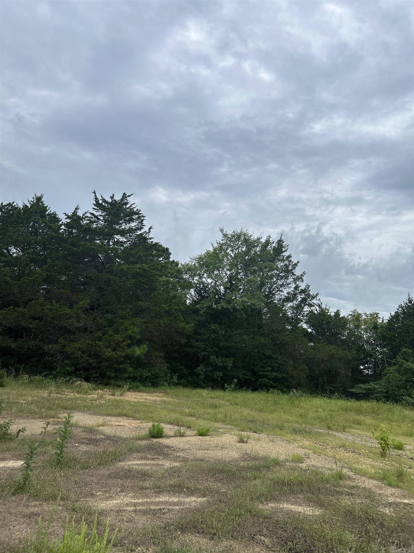 3324 Donnell Ridge Road  Conway, AR
