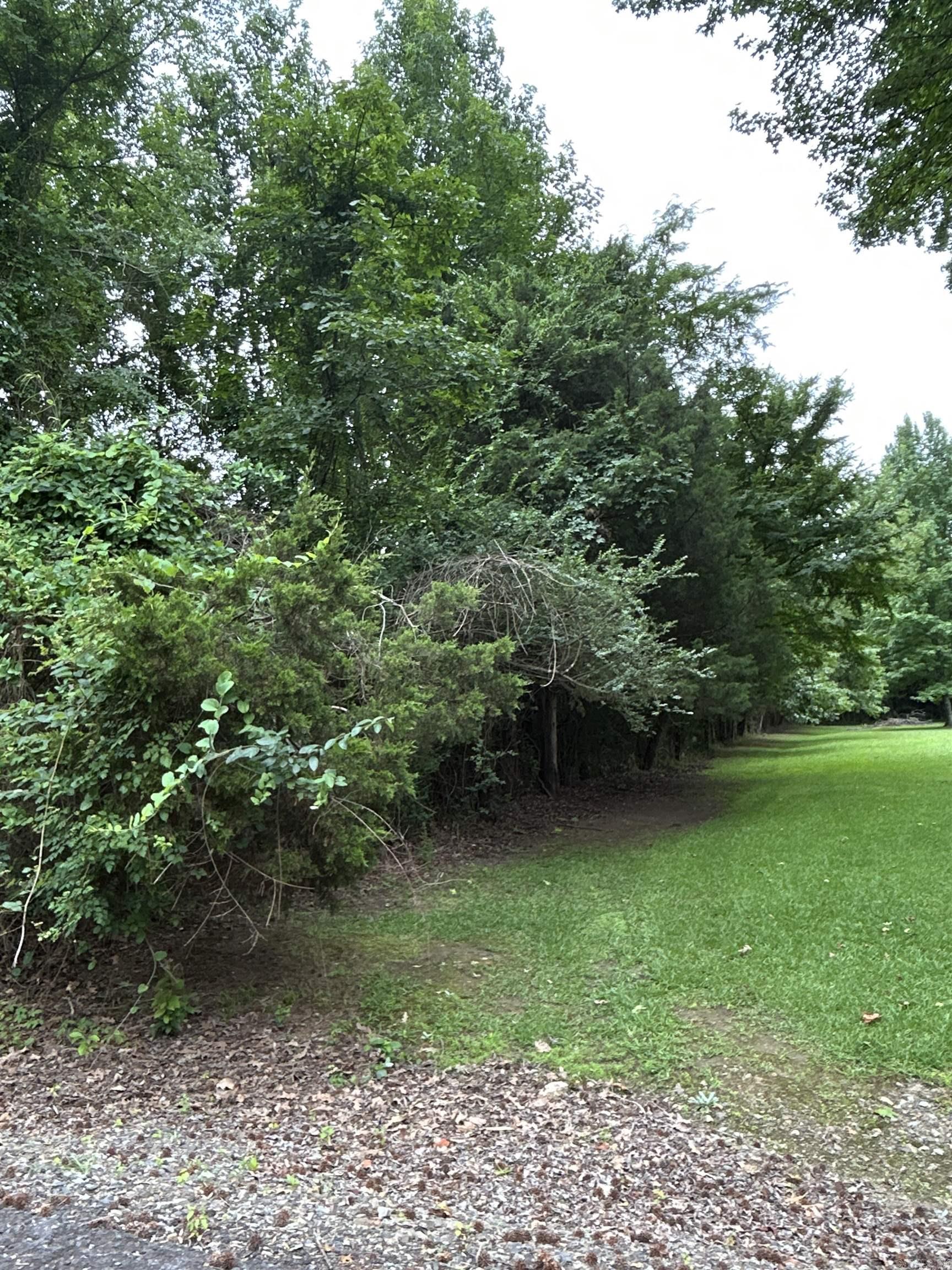 3324 Donnell Ridge Road  Conway, AR