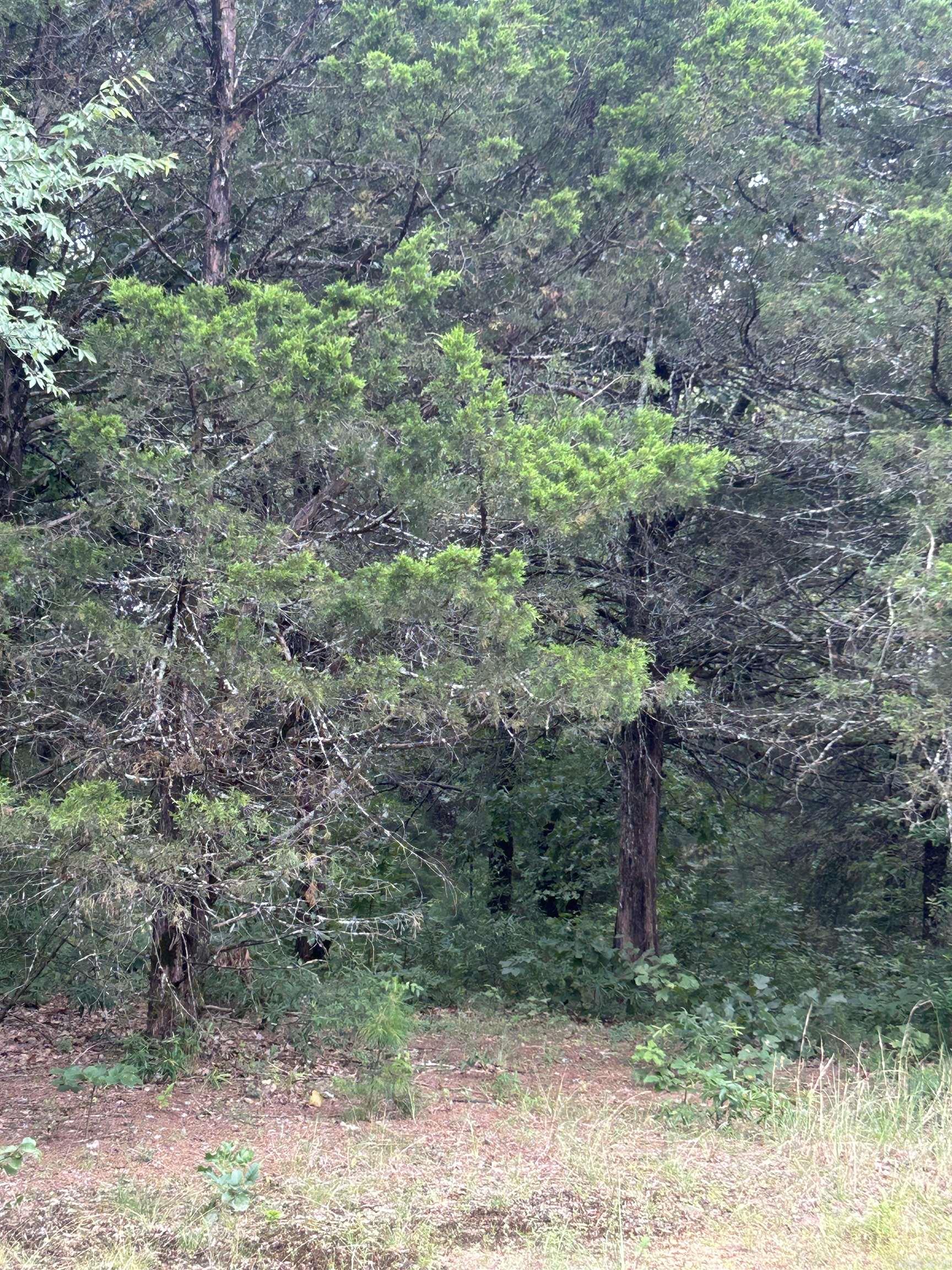 3324 Donnell Ridge Road  Conway, AR