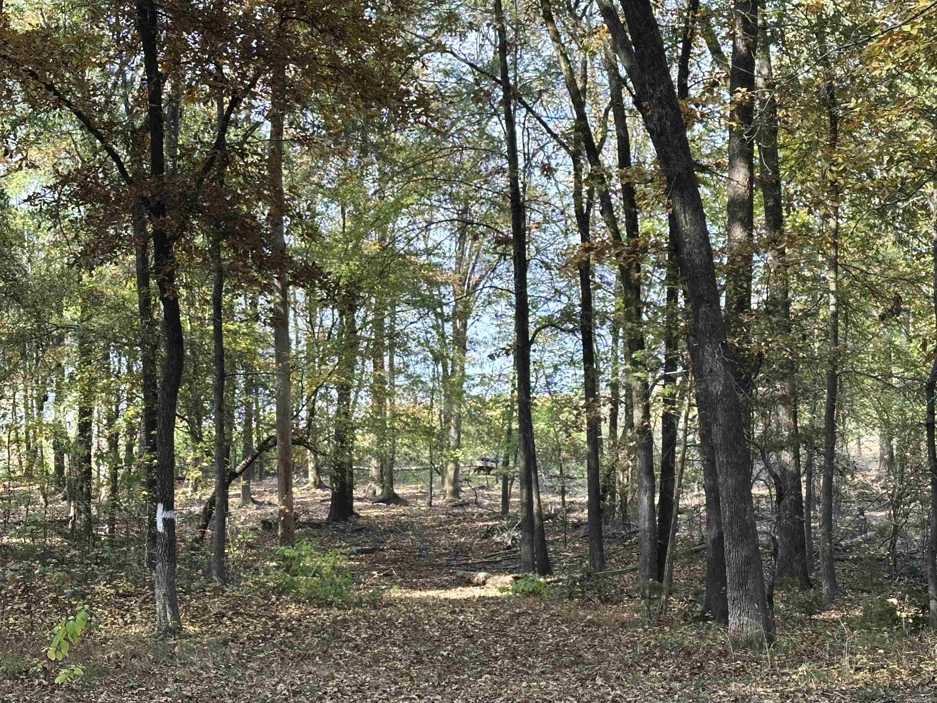 14 Baywood  Heber Springs, AR