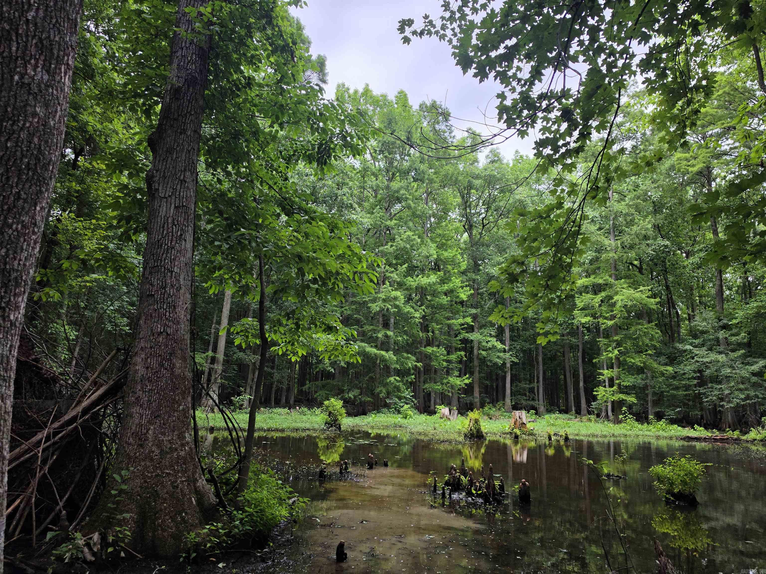 00 Rex Hancock Rd  Gregory, AR