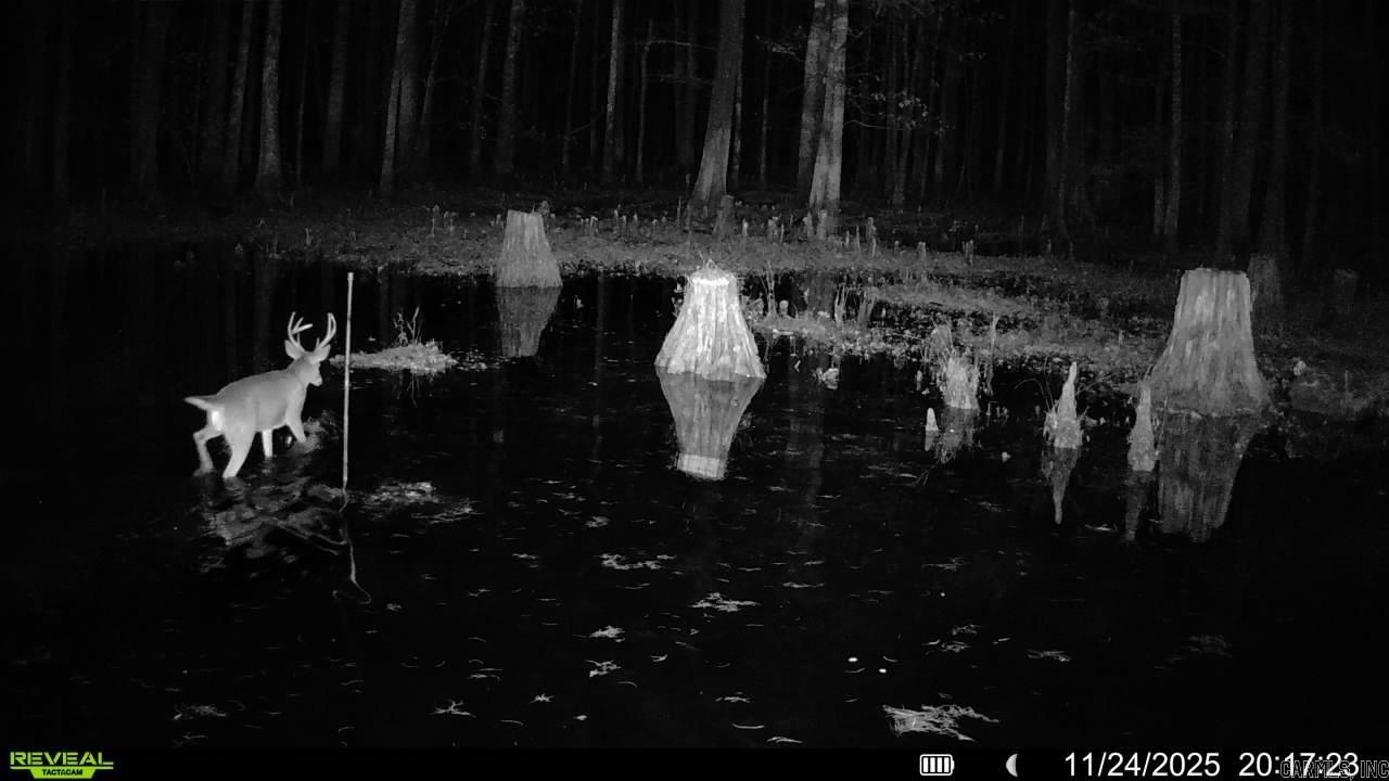 00 Rex Hancock Rd  Gregory, AR