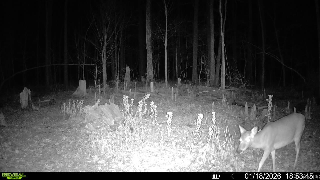 00 Rex Hancock Rd  Gregory, AR