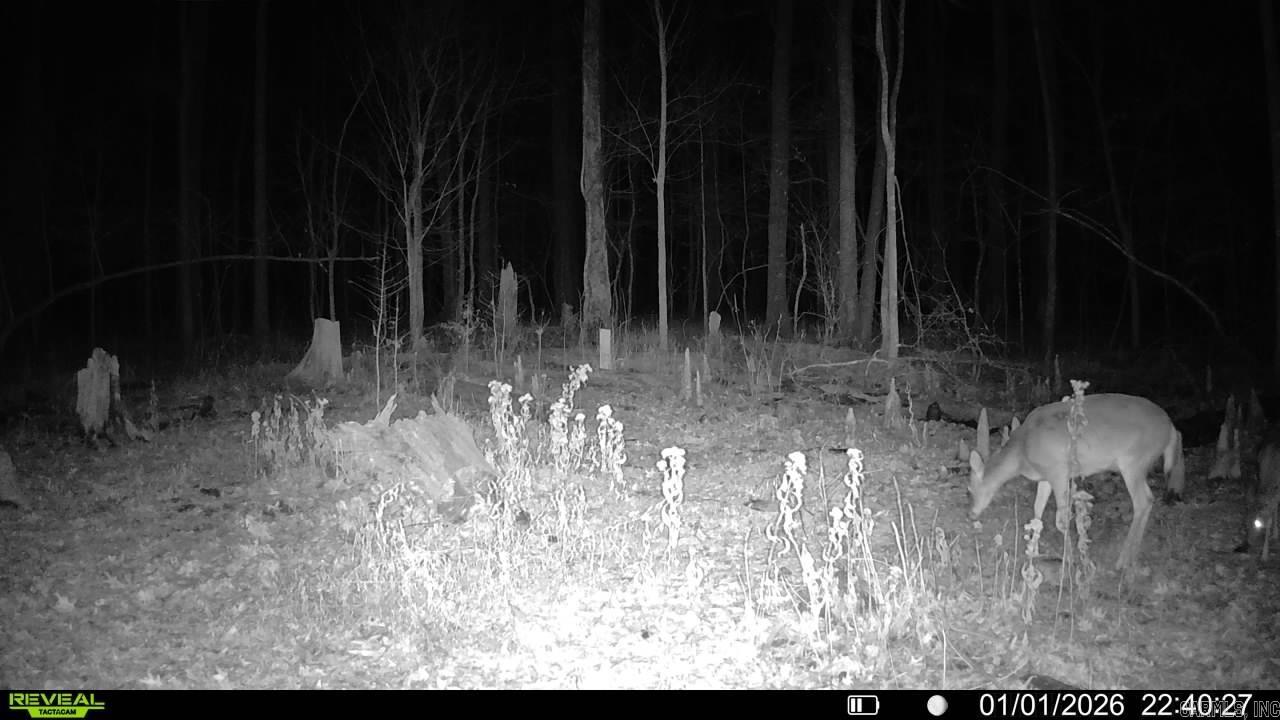 00 Rex Hancock Rd  Gregory, AR