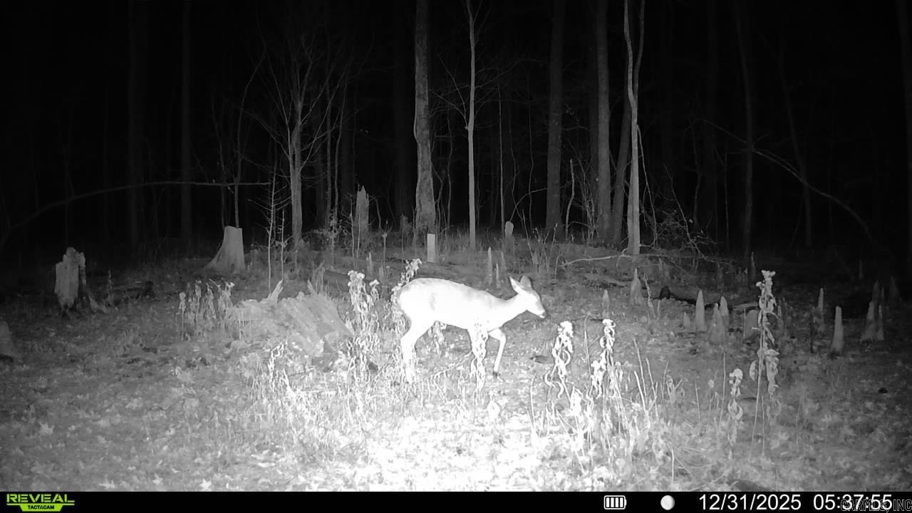 00 Rex Hancock Rd  Gregory, AR