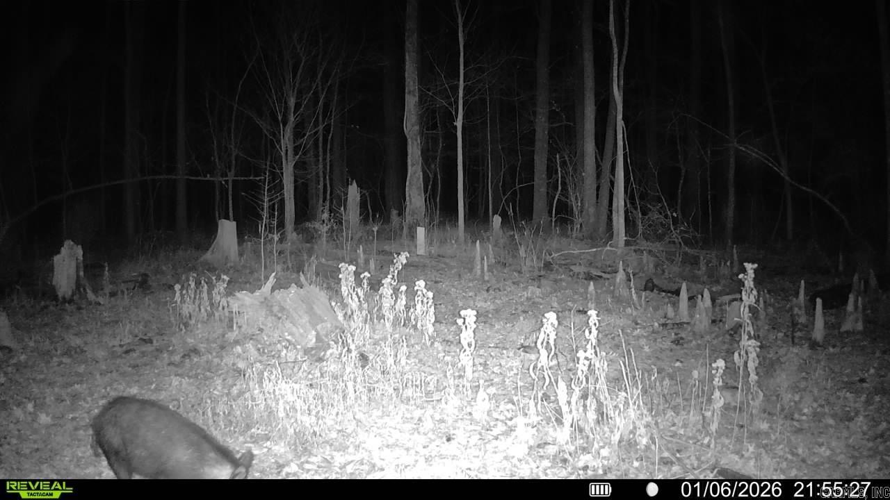 00 Rex Hancock Rd  Gregory, AR