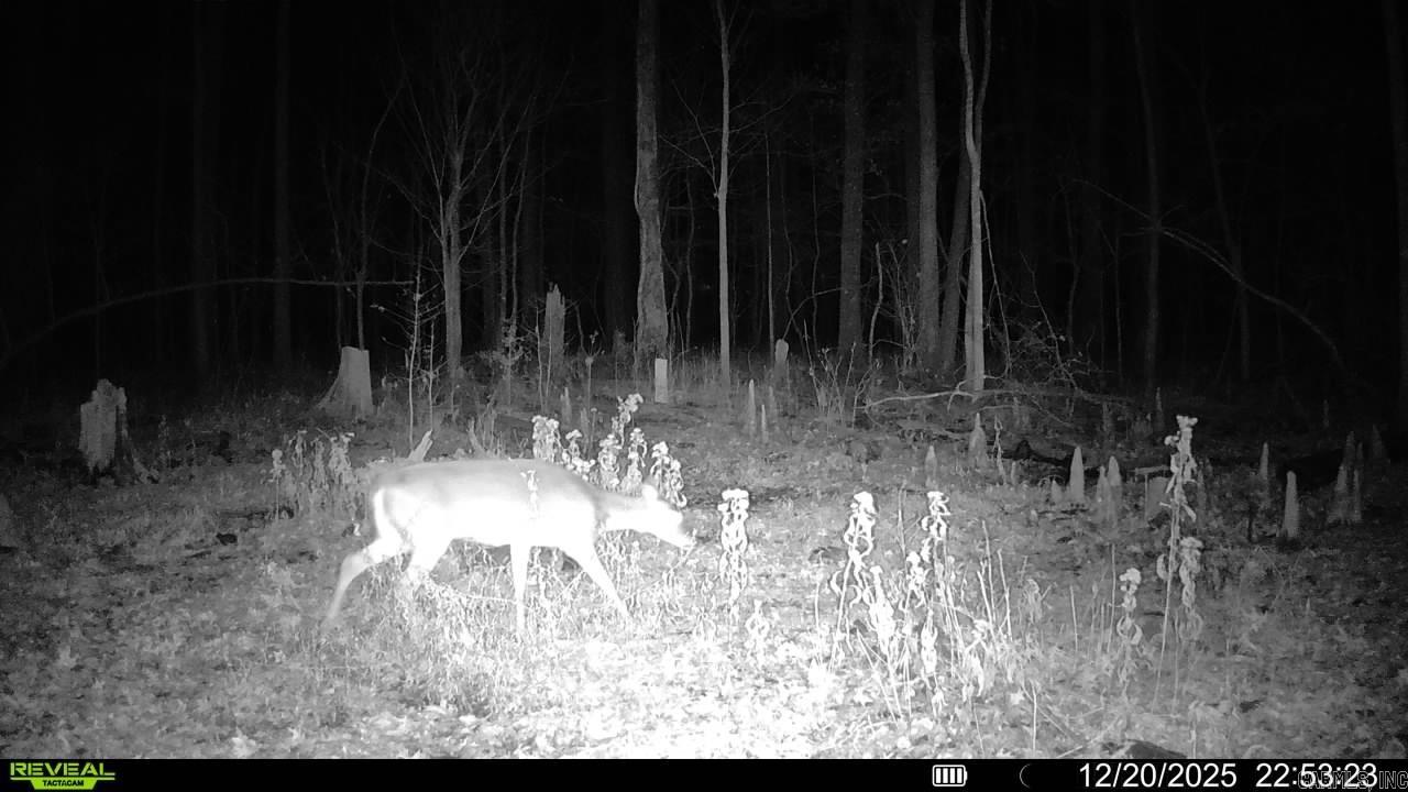 00 Rex Hancock Rd  Gregory, AR