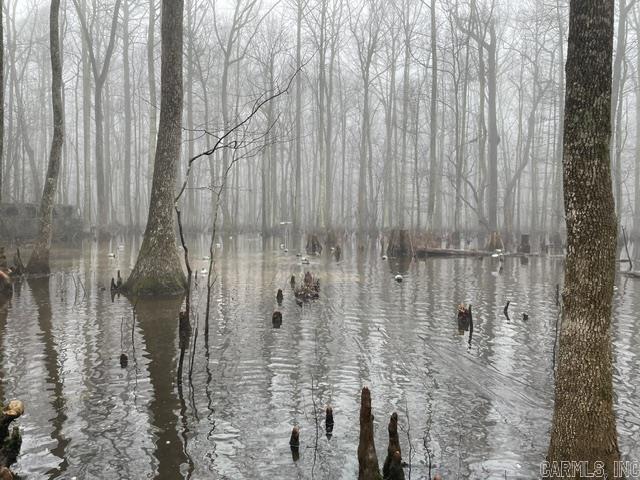 00 Rex Hancock Rd  Gregory, AR