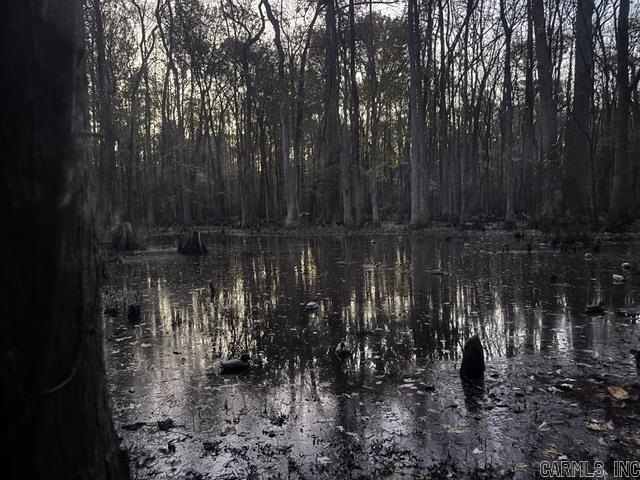 00 Rex Hancock Rd  Gregory, AR