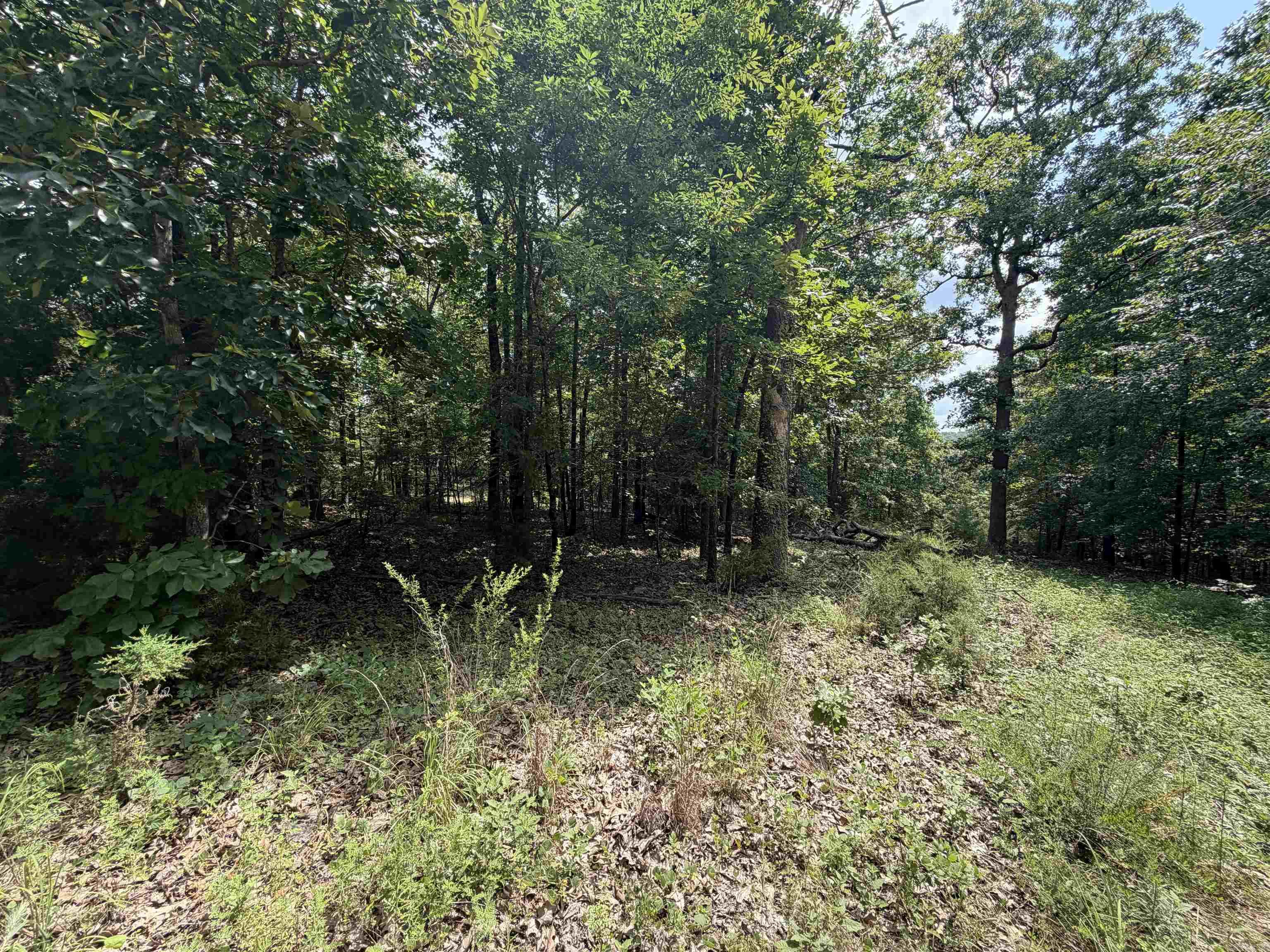 Lot 25 Blackfoot Drive  Cherokee Village, AR