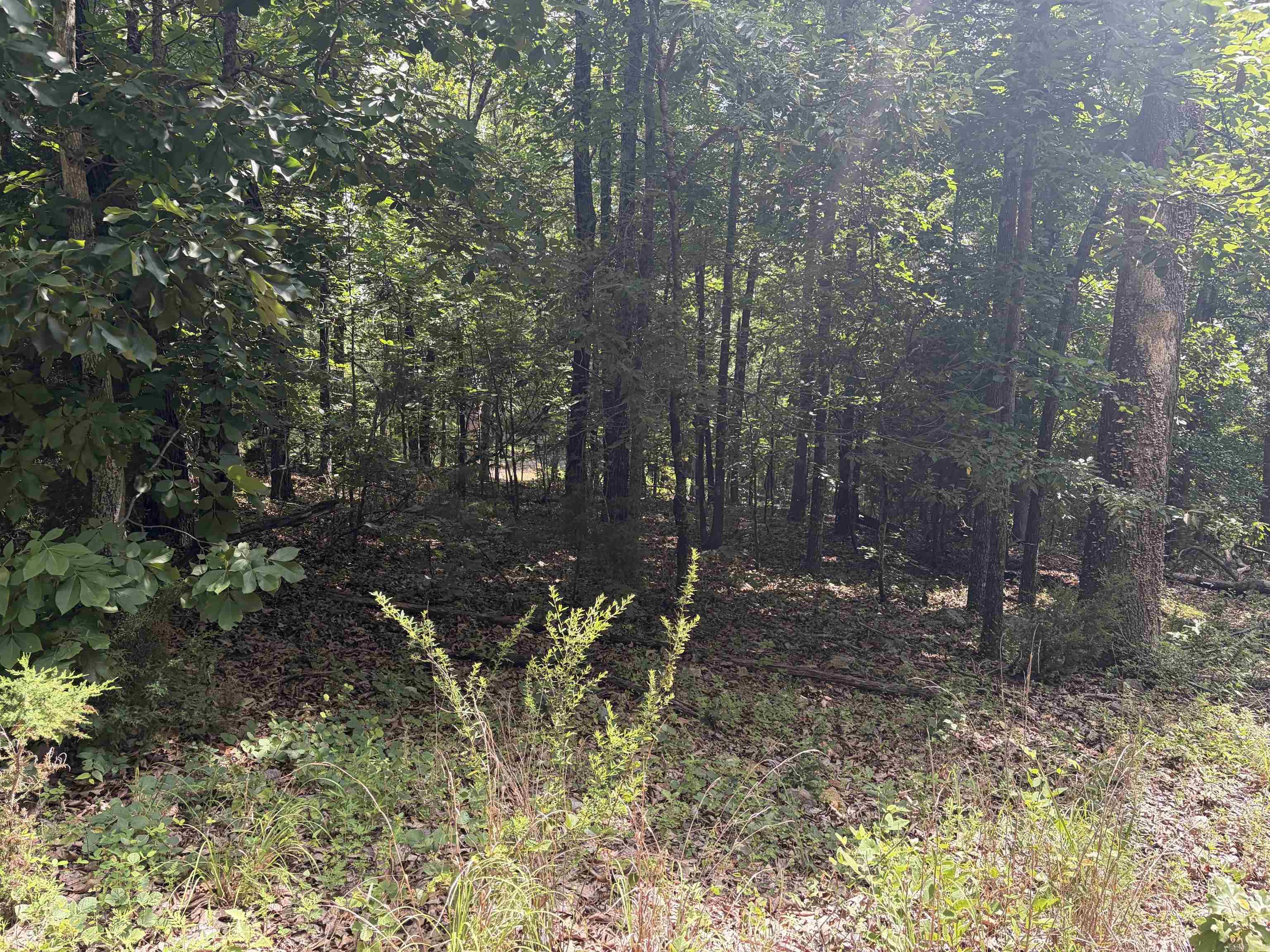 Lot 25 Blackfoot Drive  Cherokee Village, AR