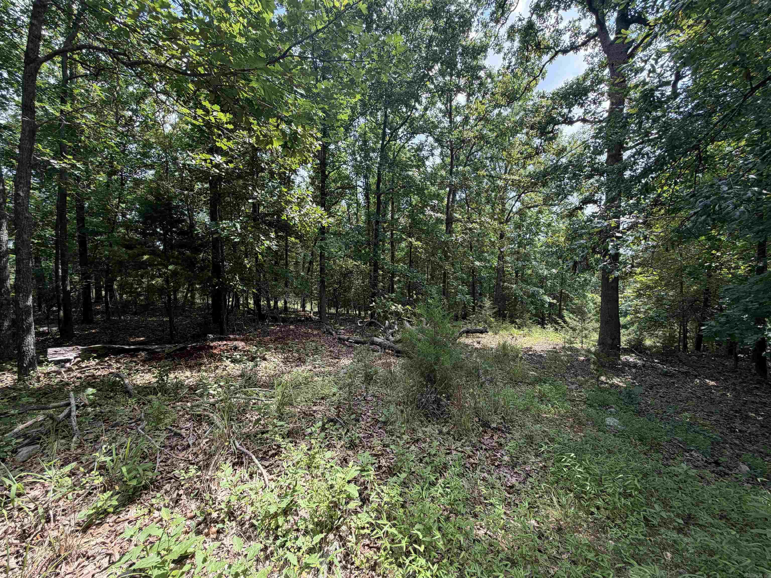 Lot 25 Blackfoot Drive  Cherokee Village, AR